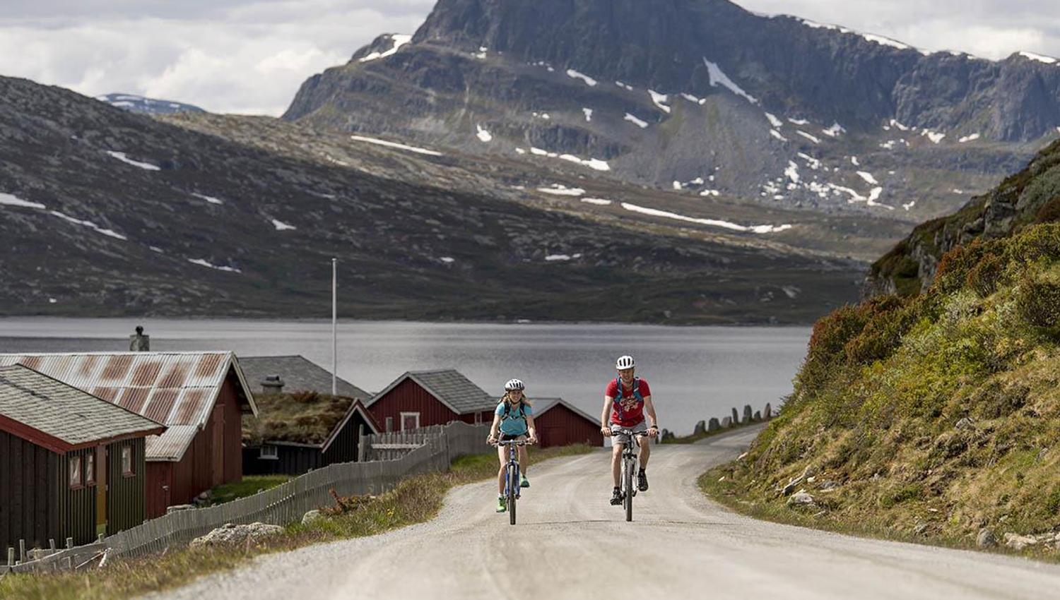 Langs Jotunheimenvegen, en del av sykkeruta Mjølkevegen, med Bitihorn i bakgrunnen.