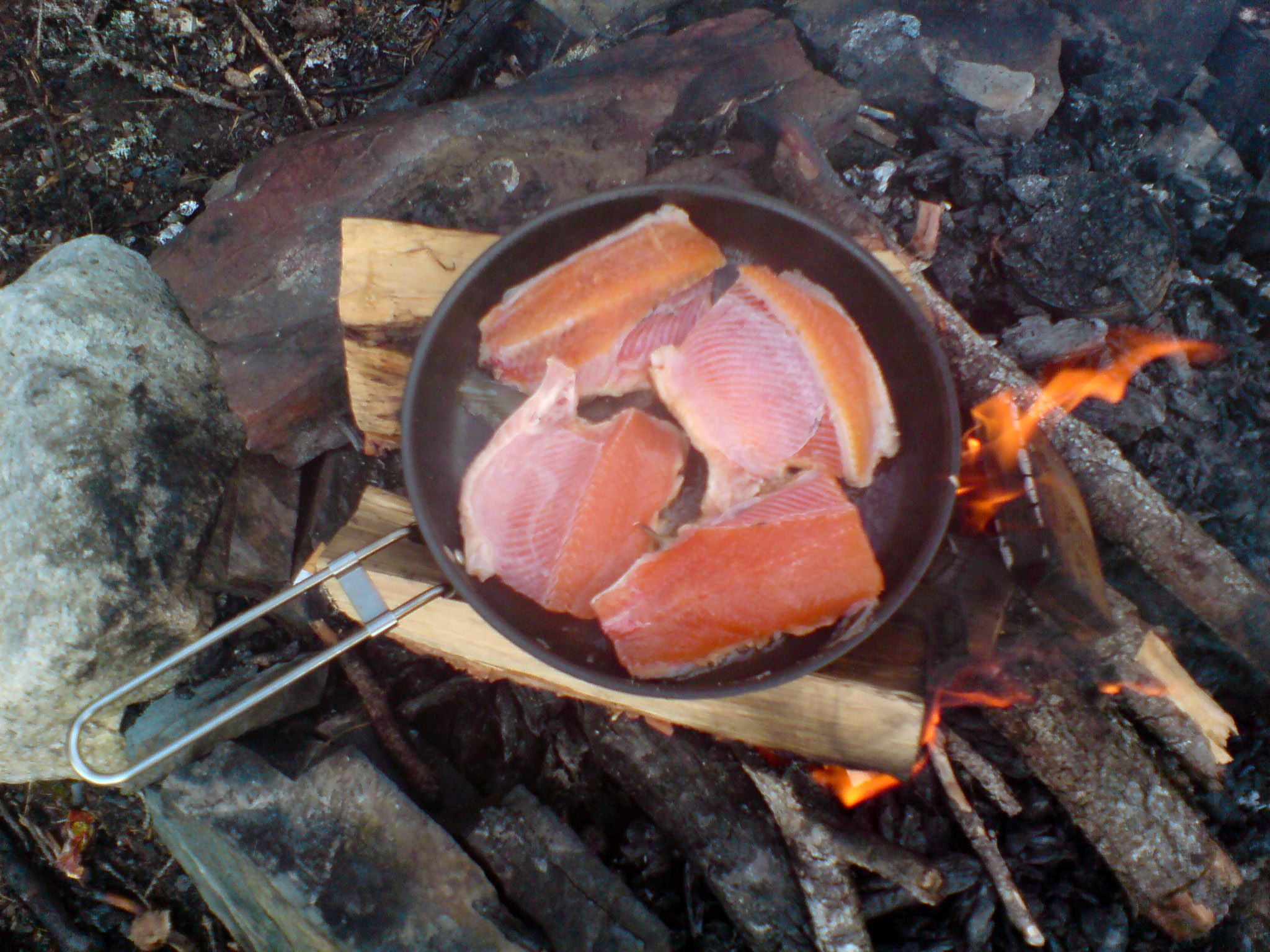 Nyt fiskefangsten i det fri