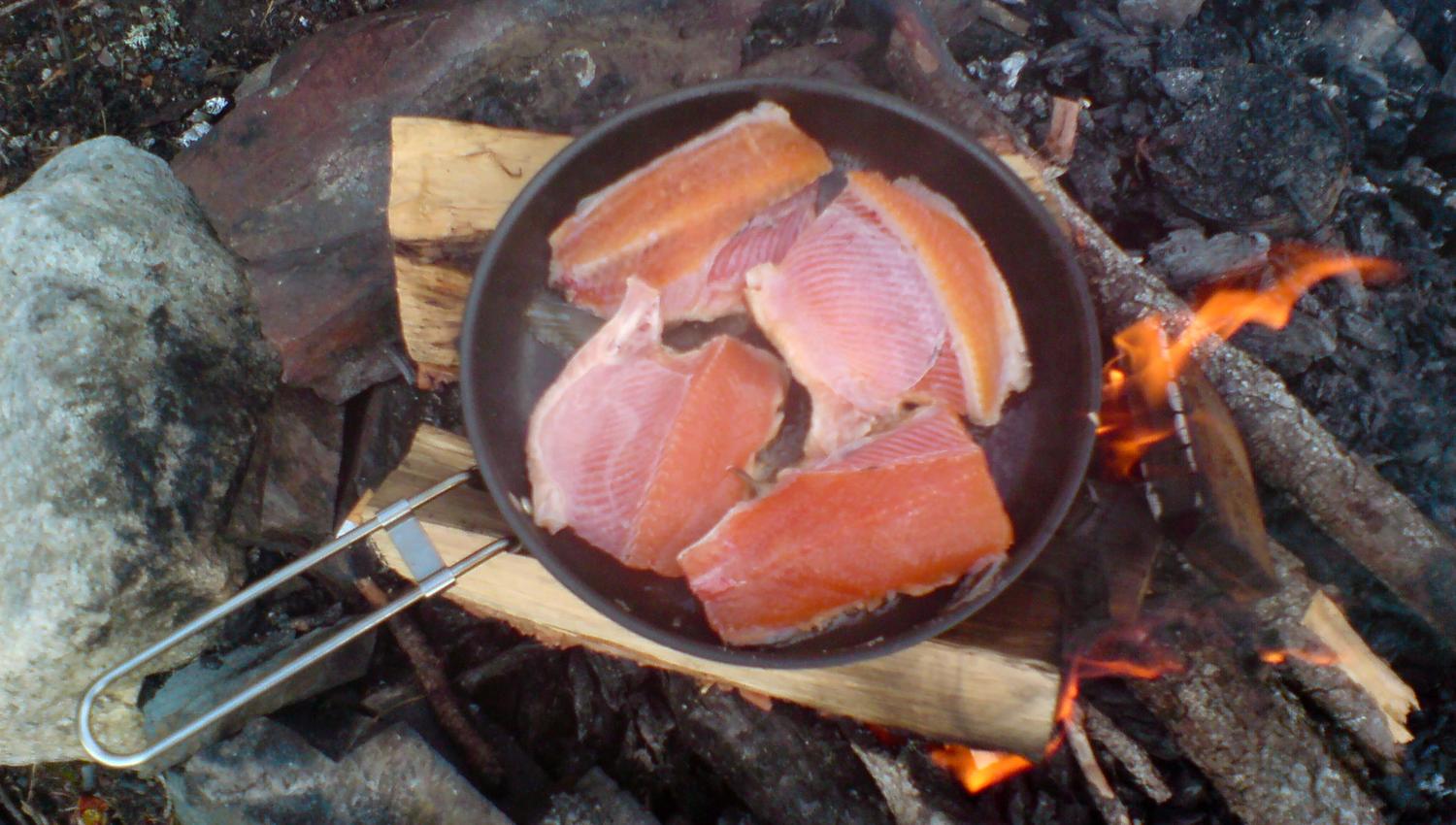 Nyt fiskefangsten i det fri