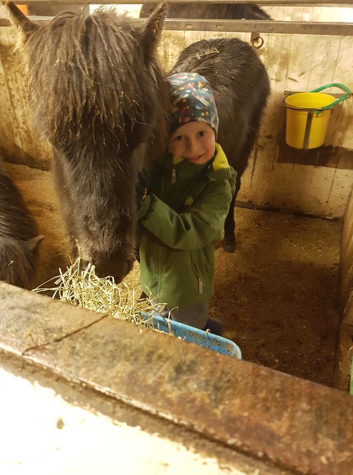 Barn og liten hest Jørum Gård