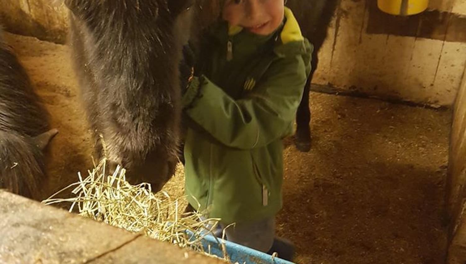 Barn og liten hest Jørum Gård