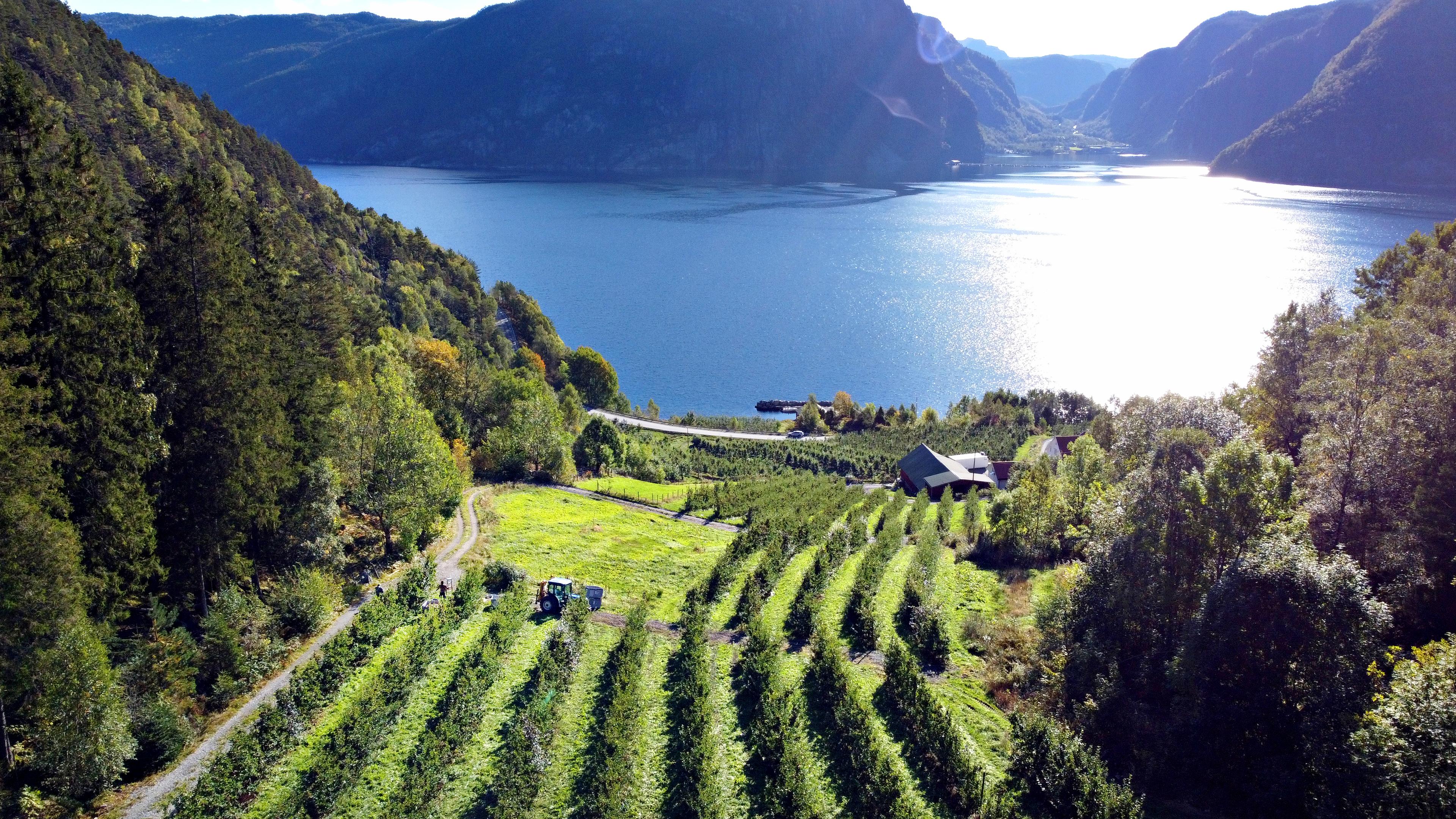 Cider tasting and farm shop at Eiane Gard at Hjelmeland
