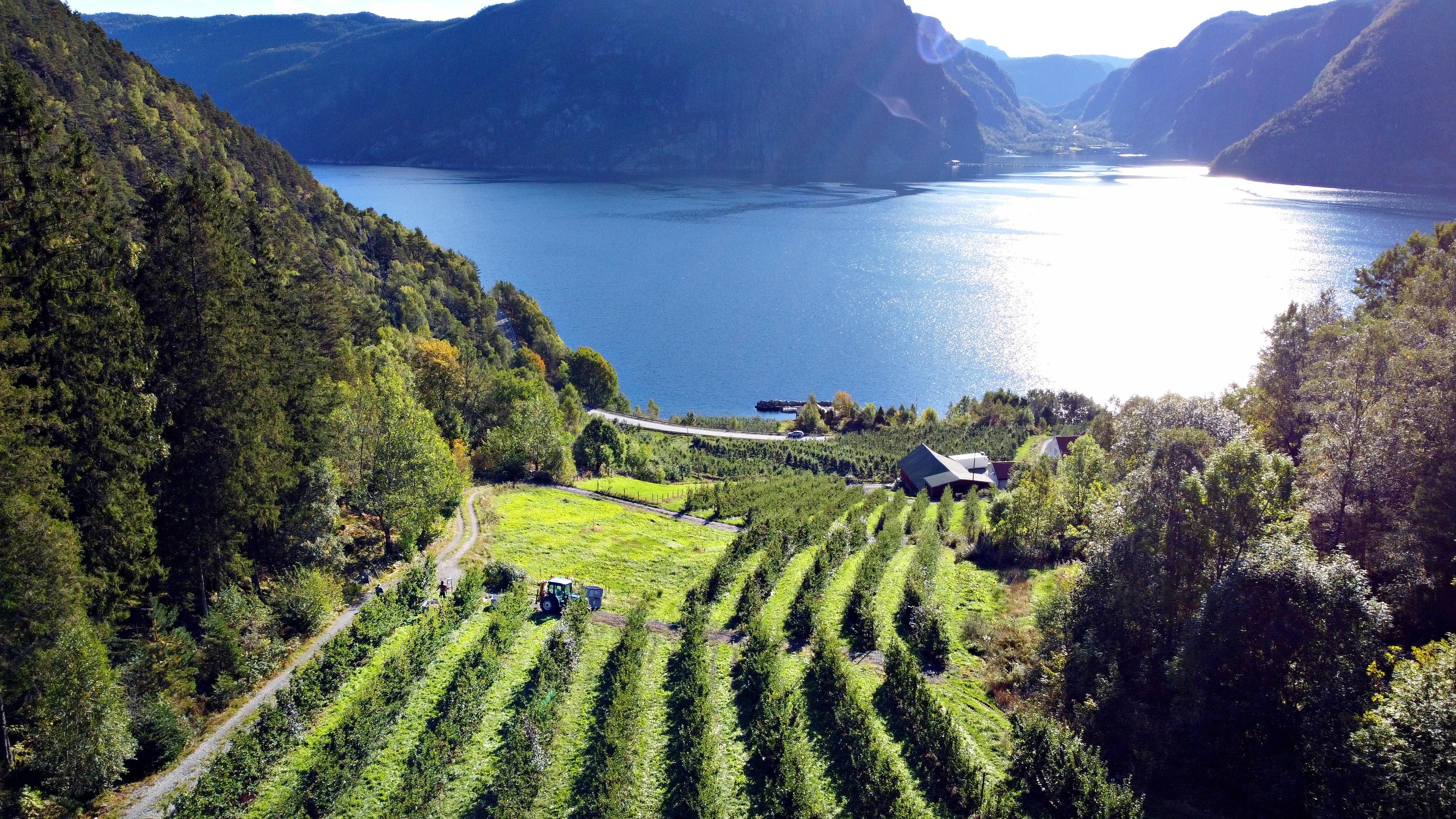 Cider tasting and farm shop at Eiane Gard at Hjelmeland