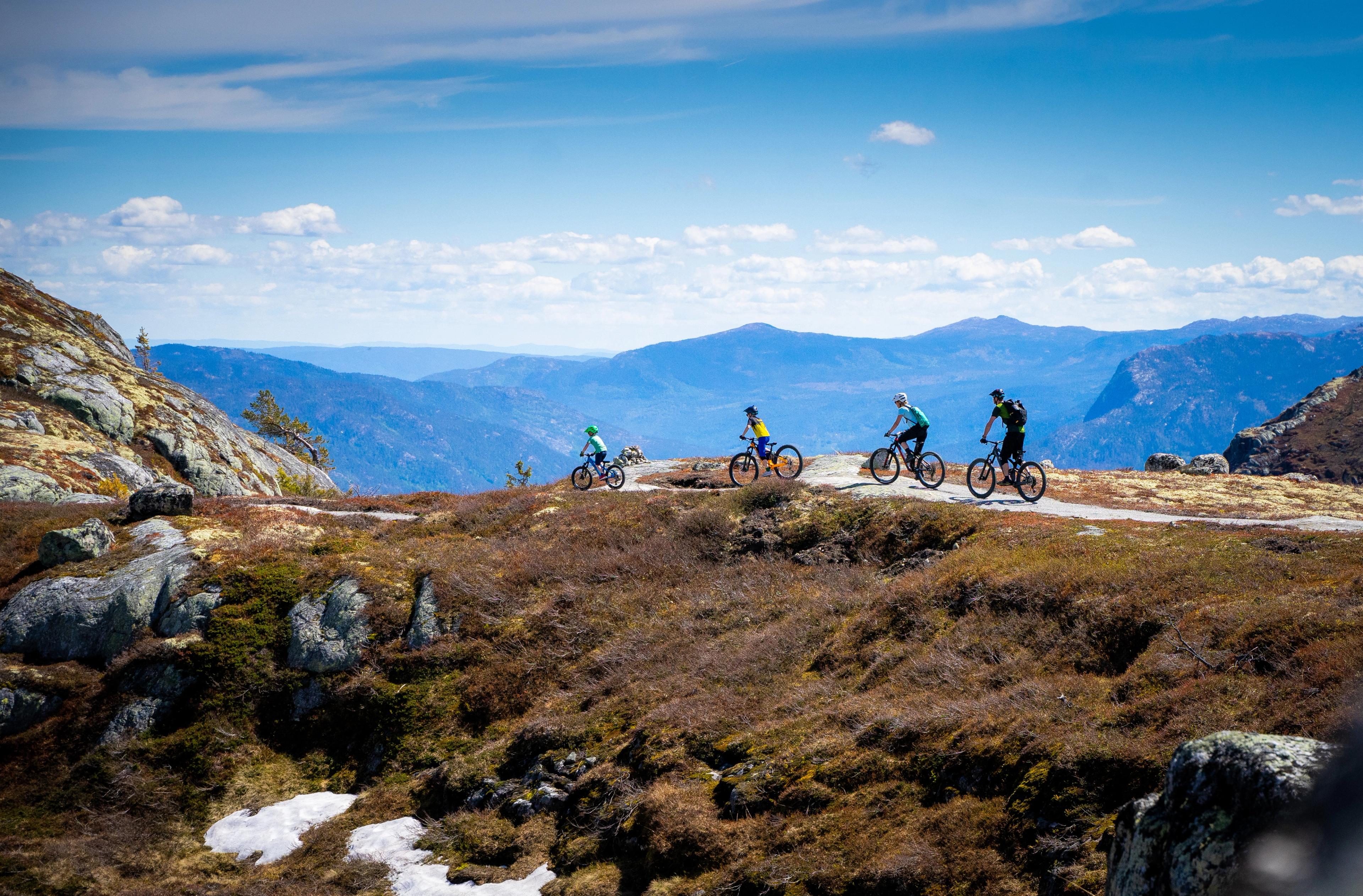 Mountain biking in Nesbyen