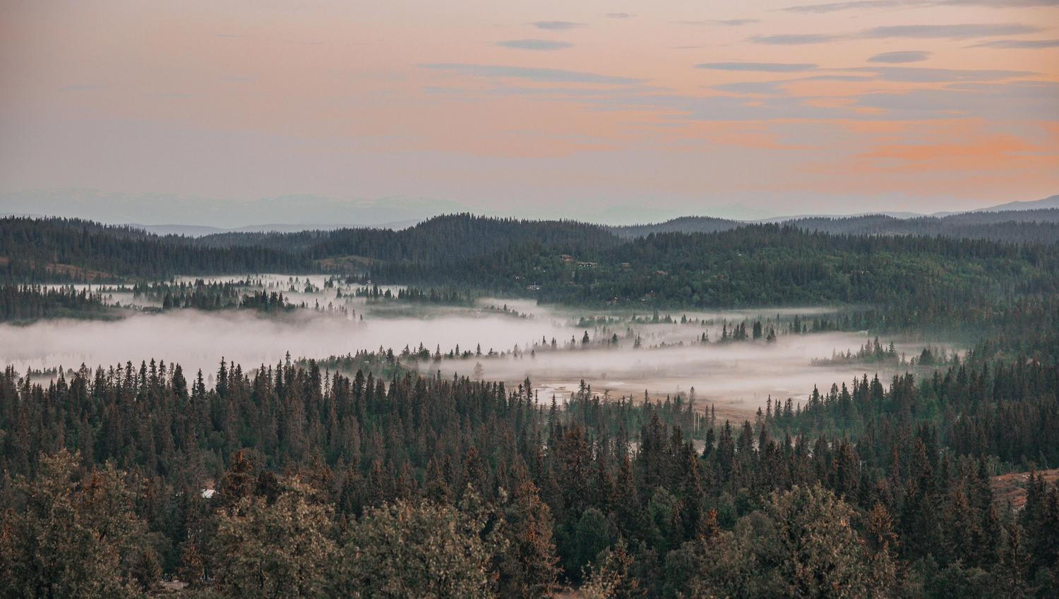 Vid utsikt over skogkledde fjell og koller.