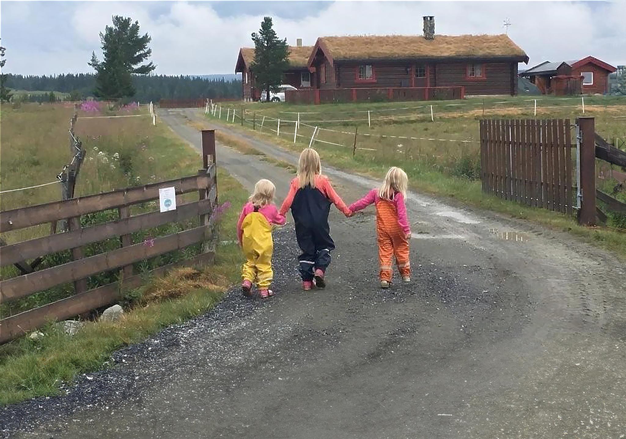 Åpen Øynebråten Støl