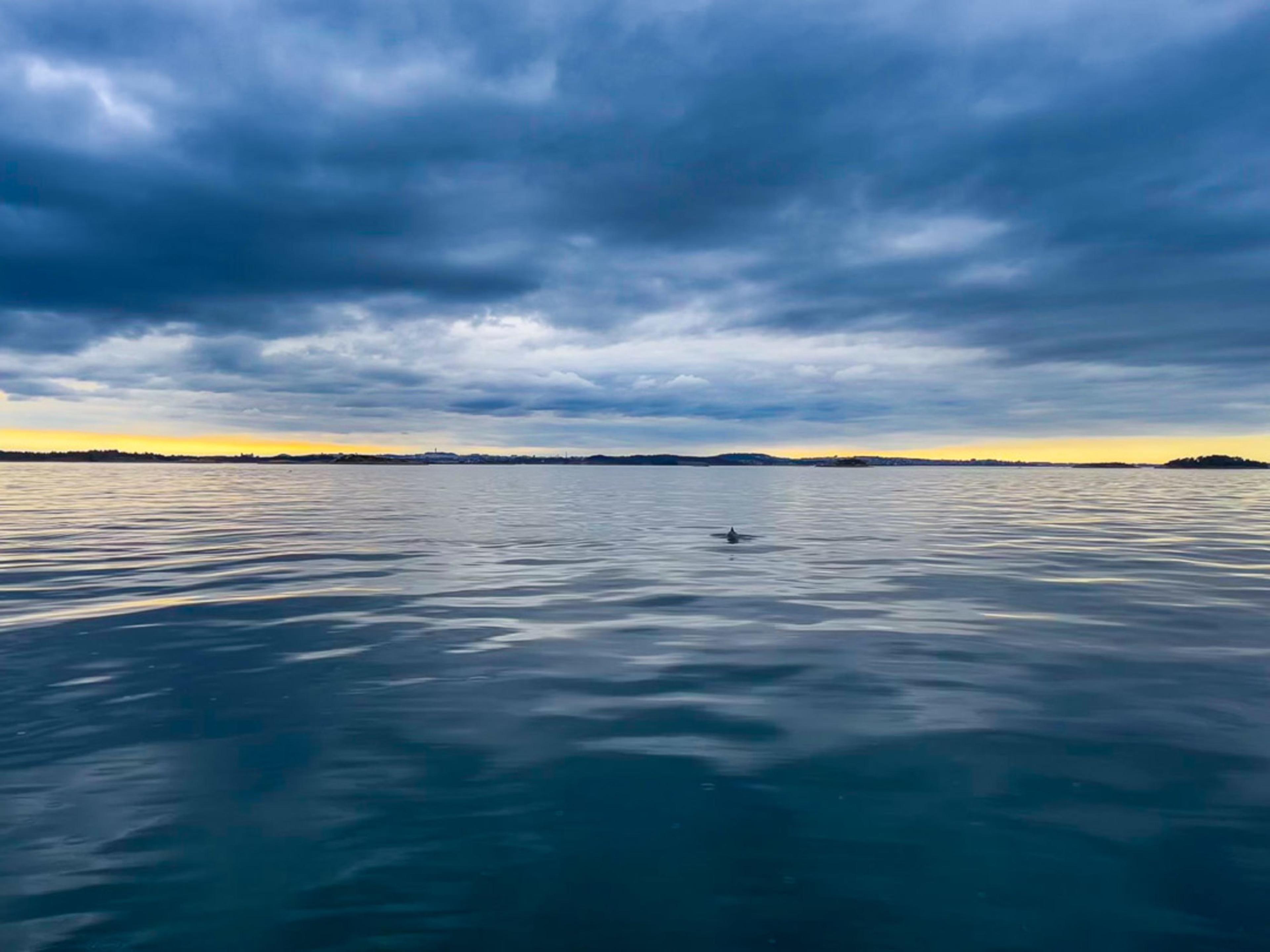 Stavanger Adventure fiske