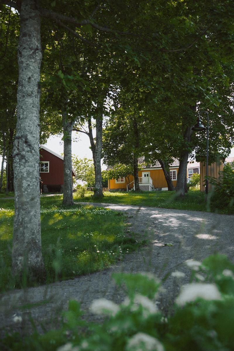 munchs hus med trær foran
