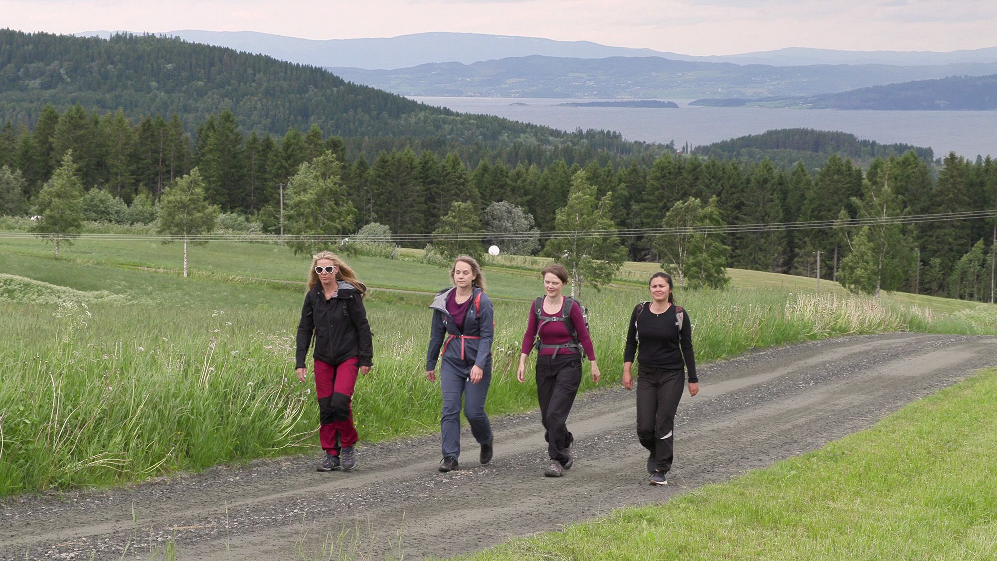 Vandring langs grusvei - Damer på tur
