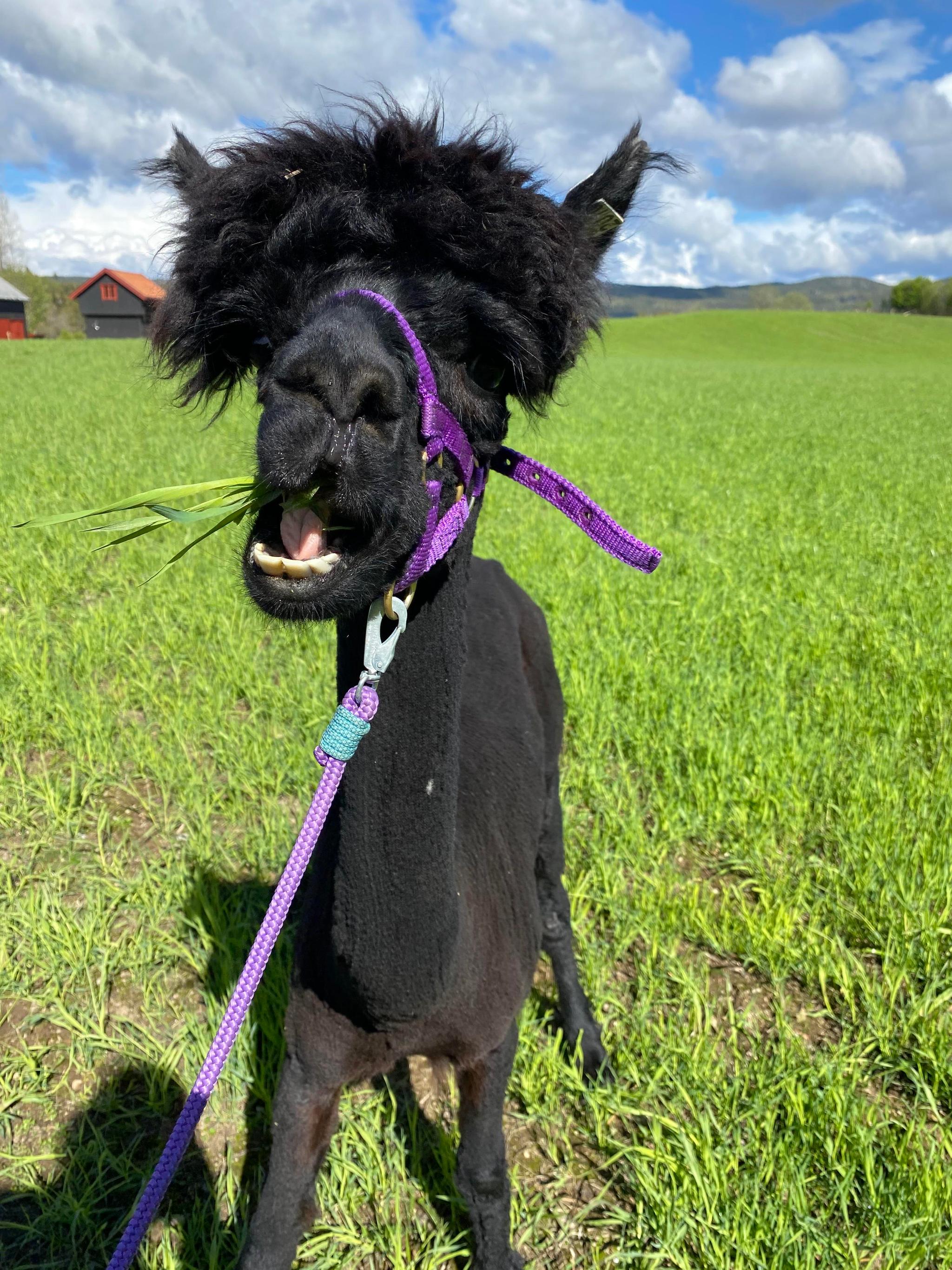 Nilsstua_foto_Nilsstua