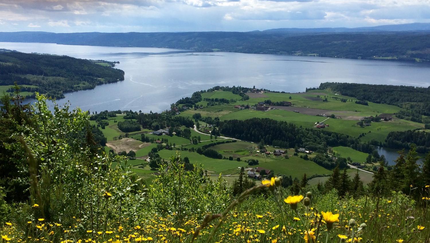 Brandbukampen utsikt 3