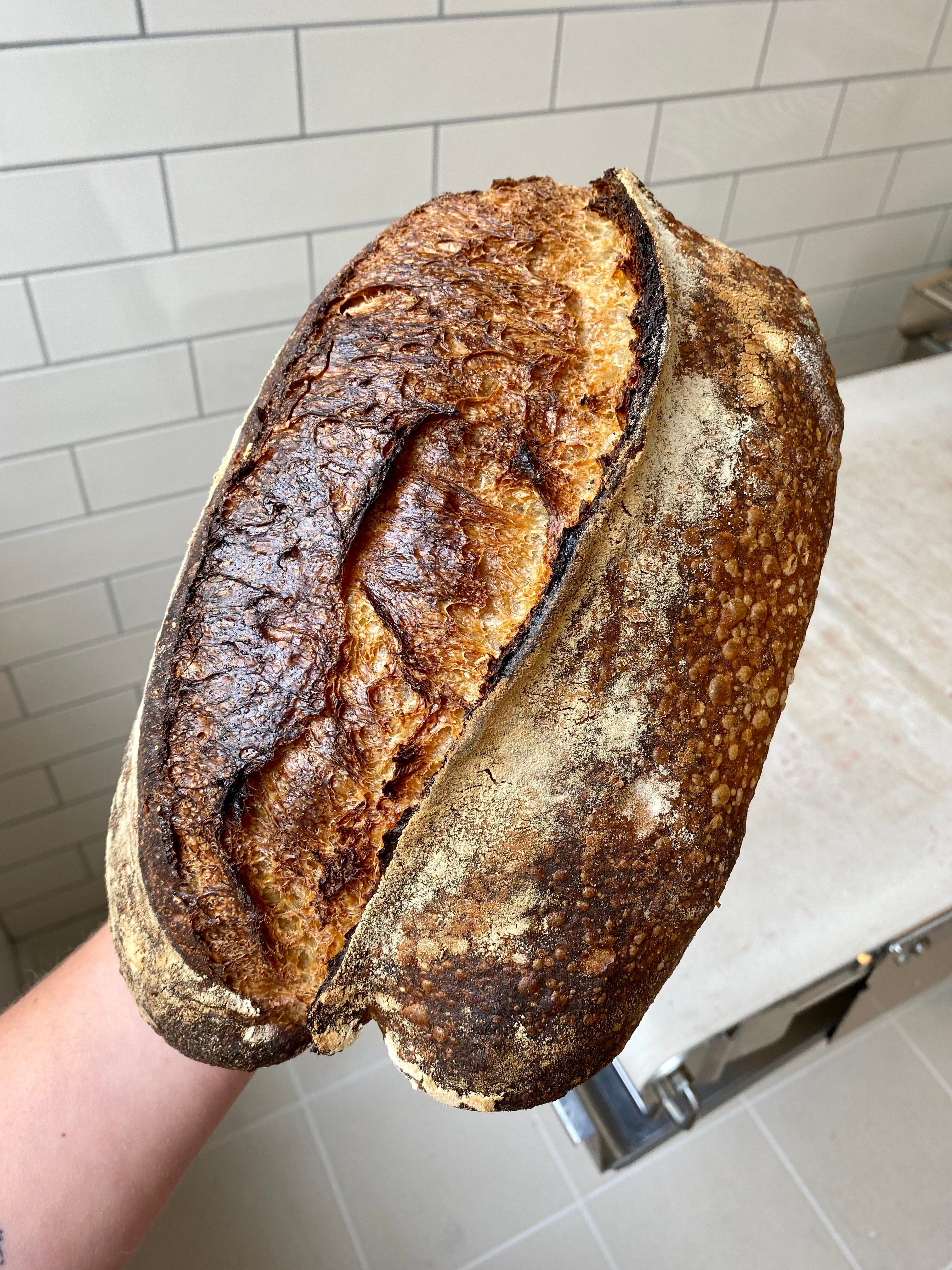 Fresh farm bread