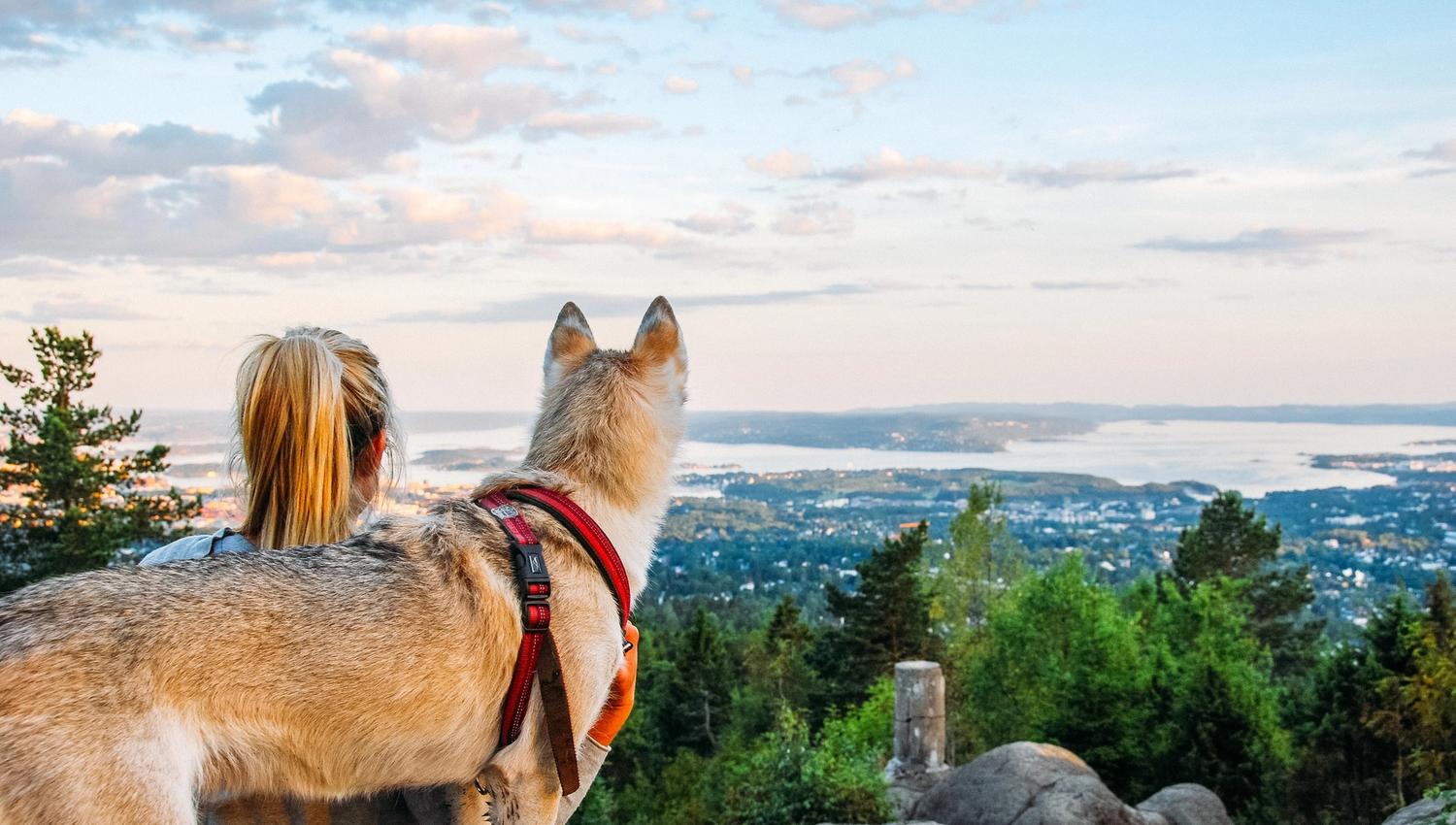 en hund og en kvinne som nyter utsikten fra toppen