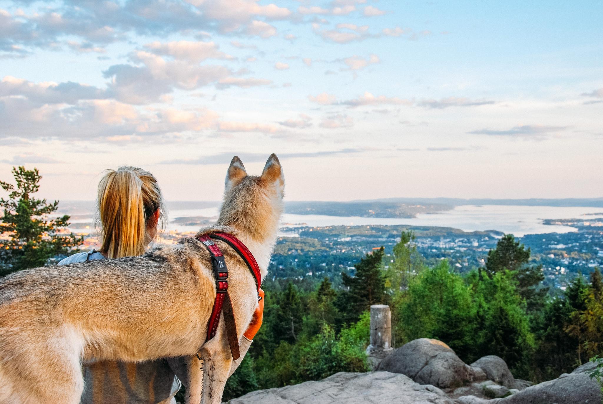 a dog and a woman enjoying the view from the top