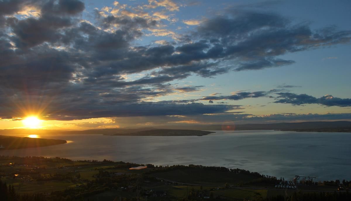 Hervenknappen nær Evjua Strandpark 4