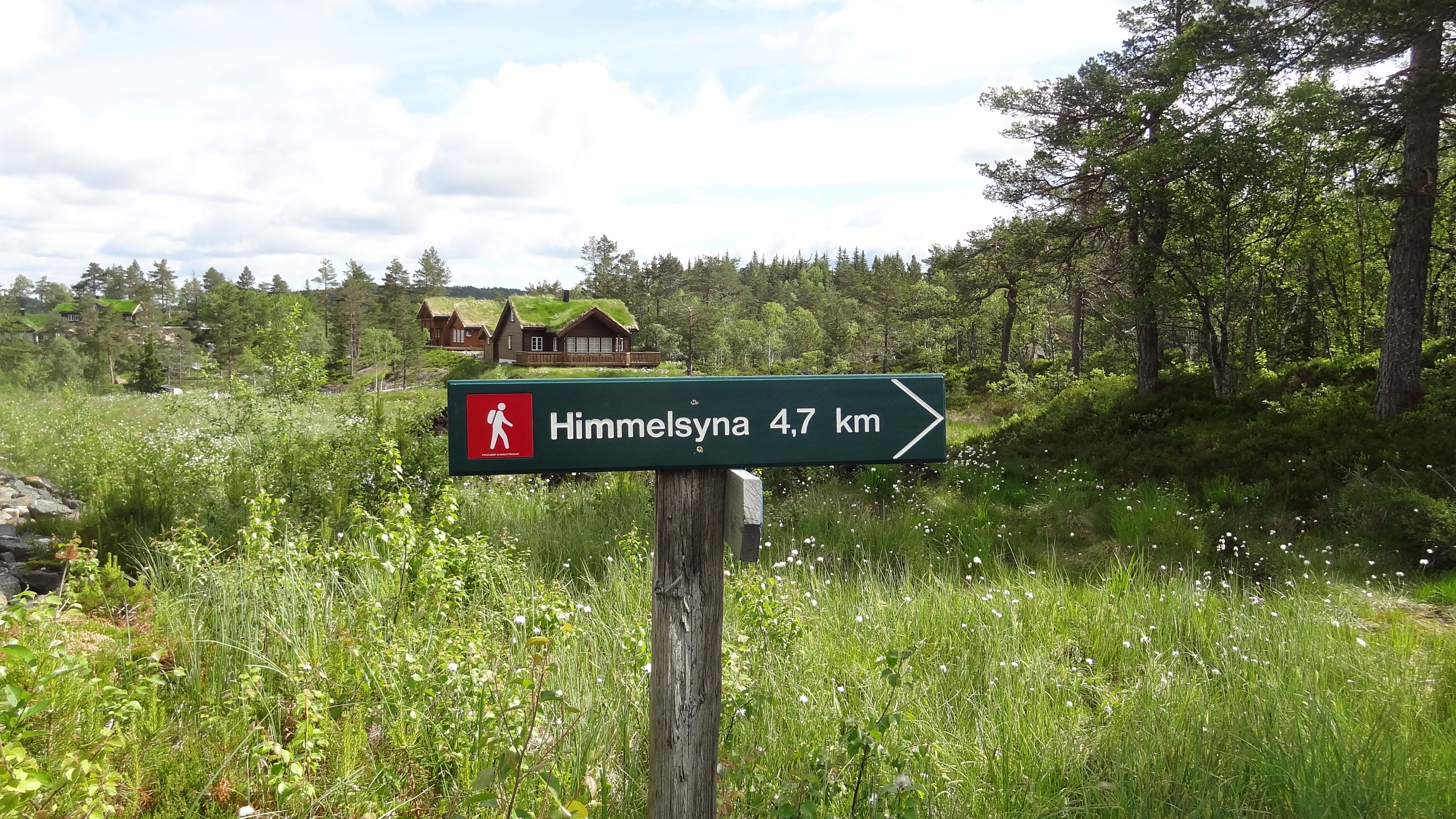 Himmelsyna