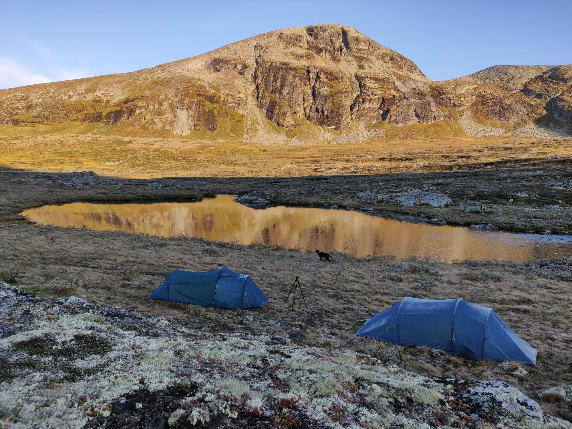 Moskussafari m/personlig guide, 2 dager