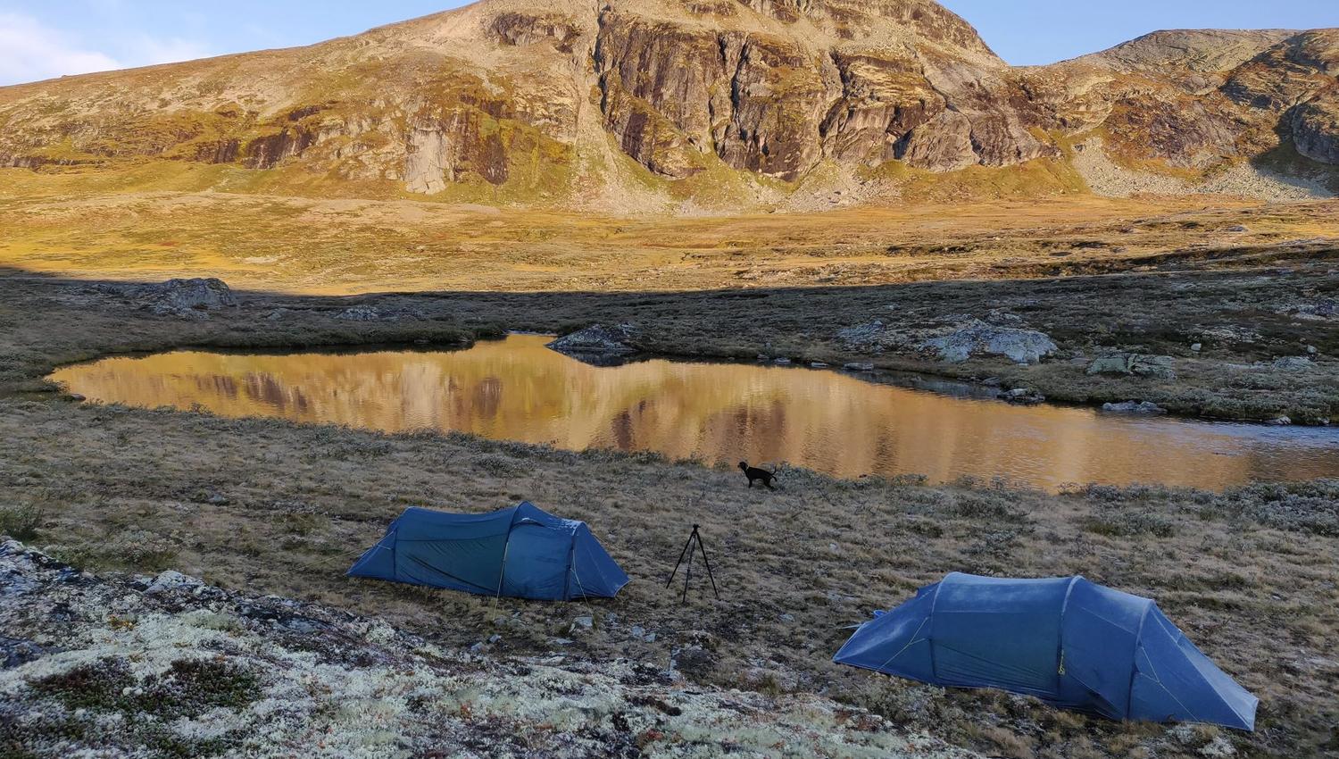 Moskussafari m/personlig guide, 2 dager