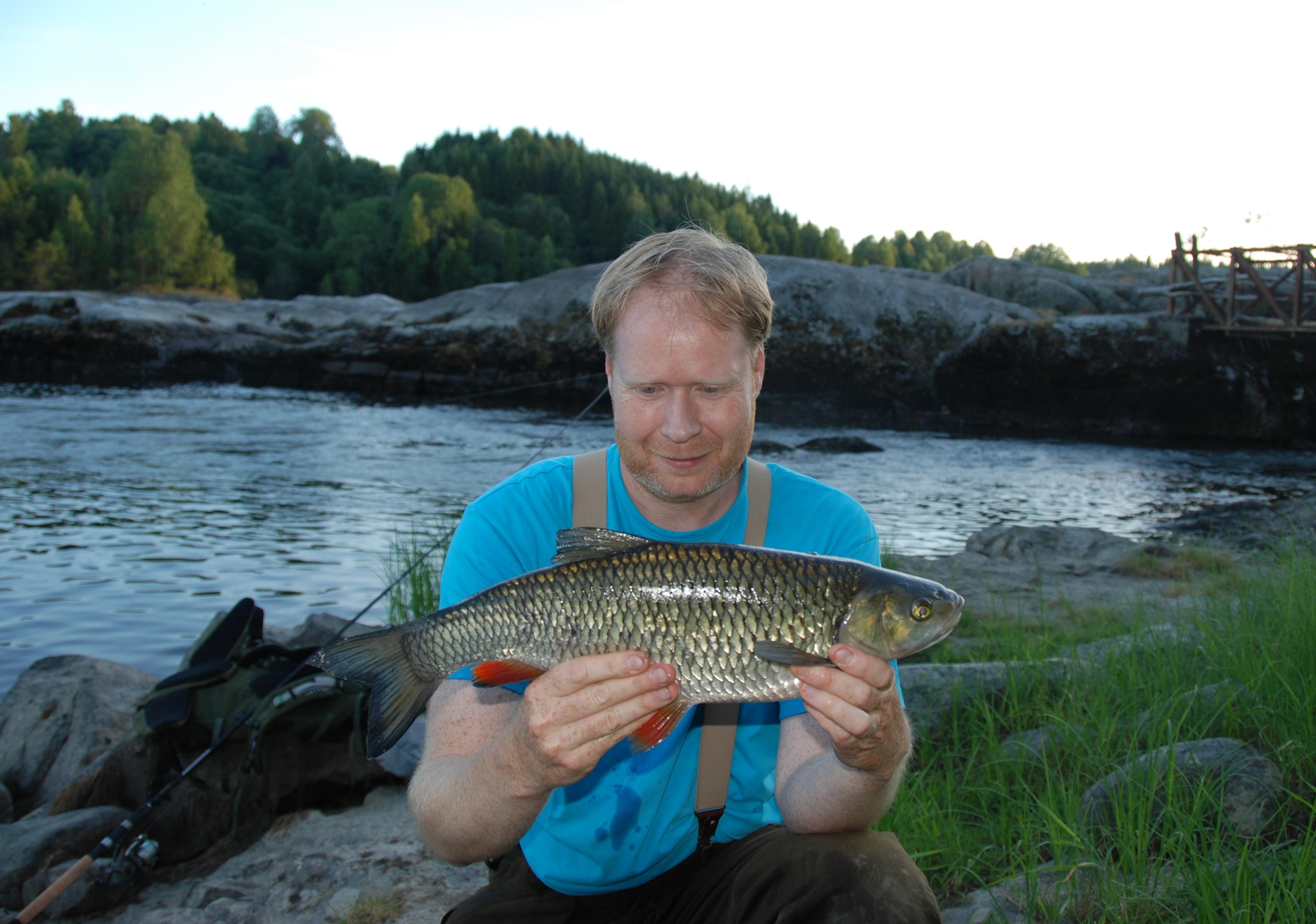 Glomma Vamma Askim Stam 1800g-51cm