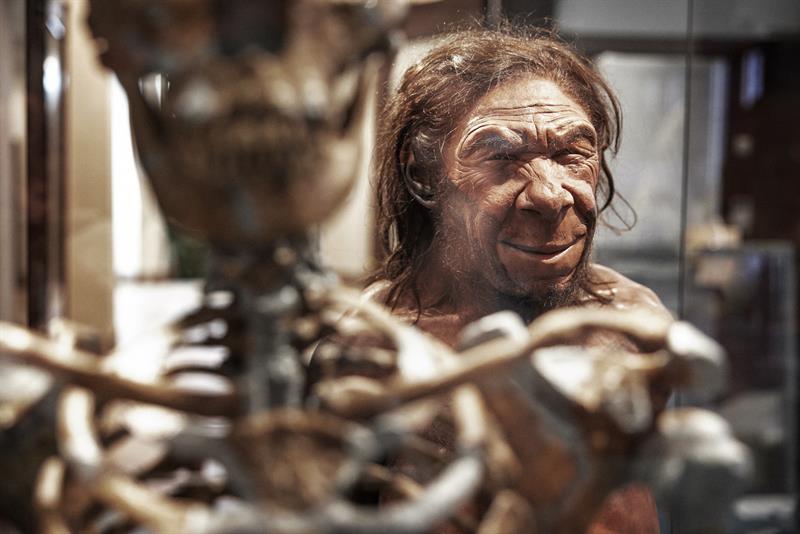 Neandertaler.