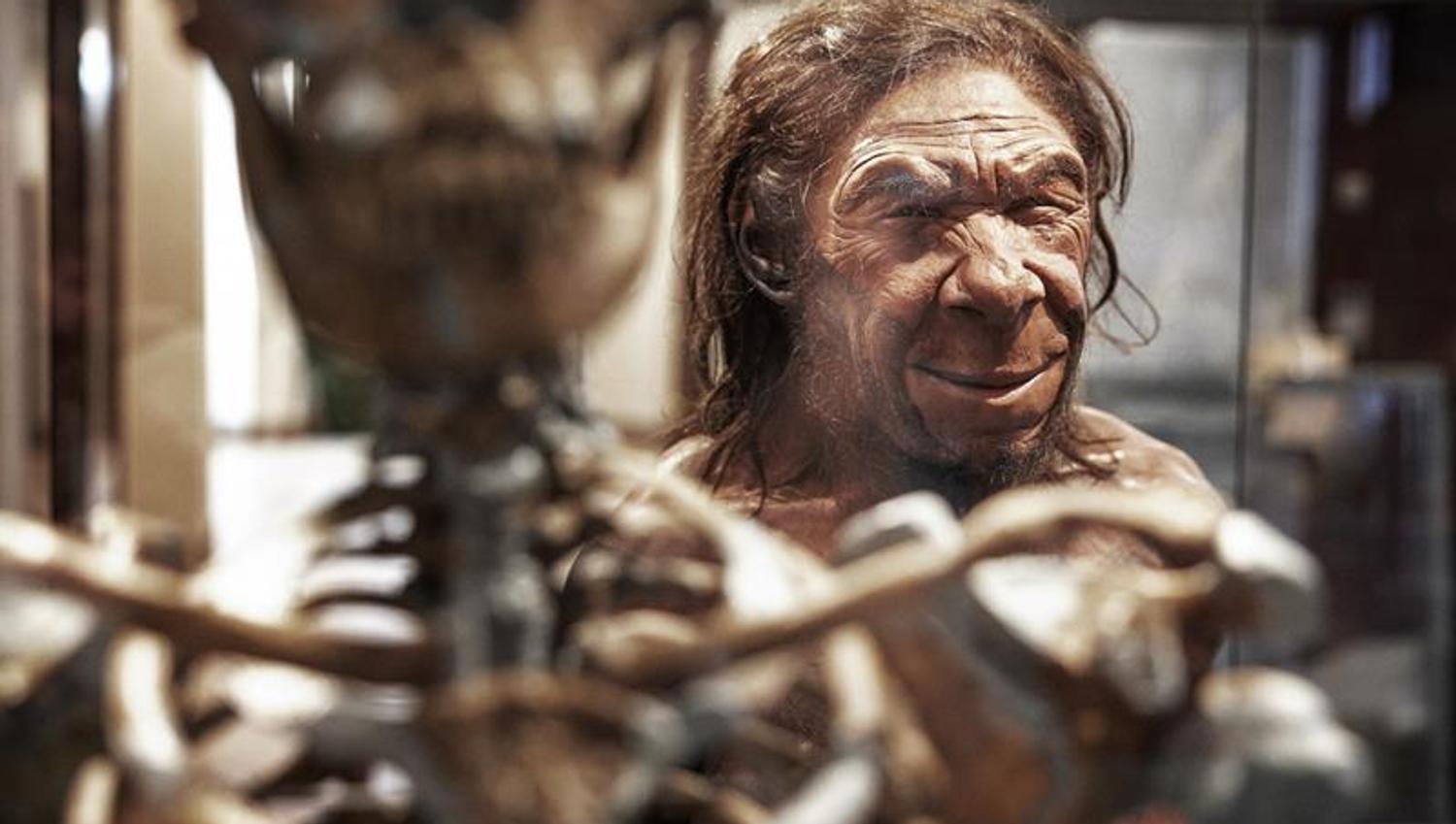 Neandertaler.
