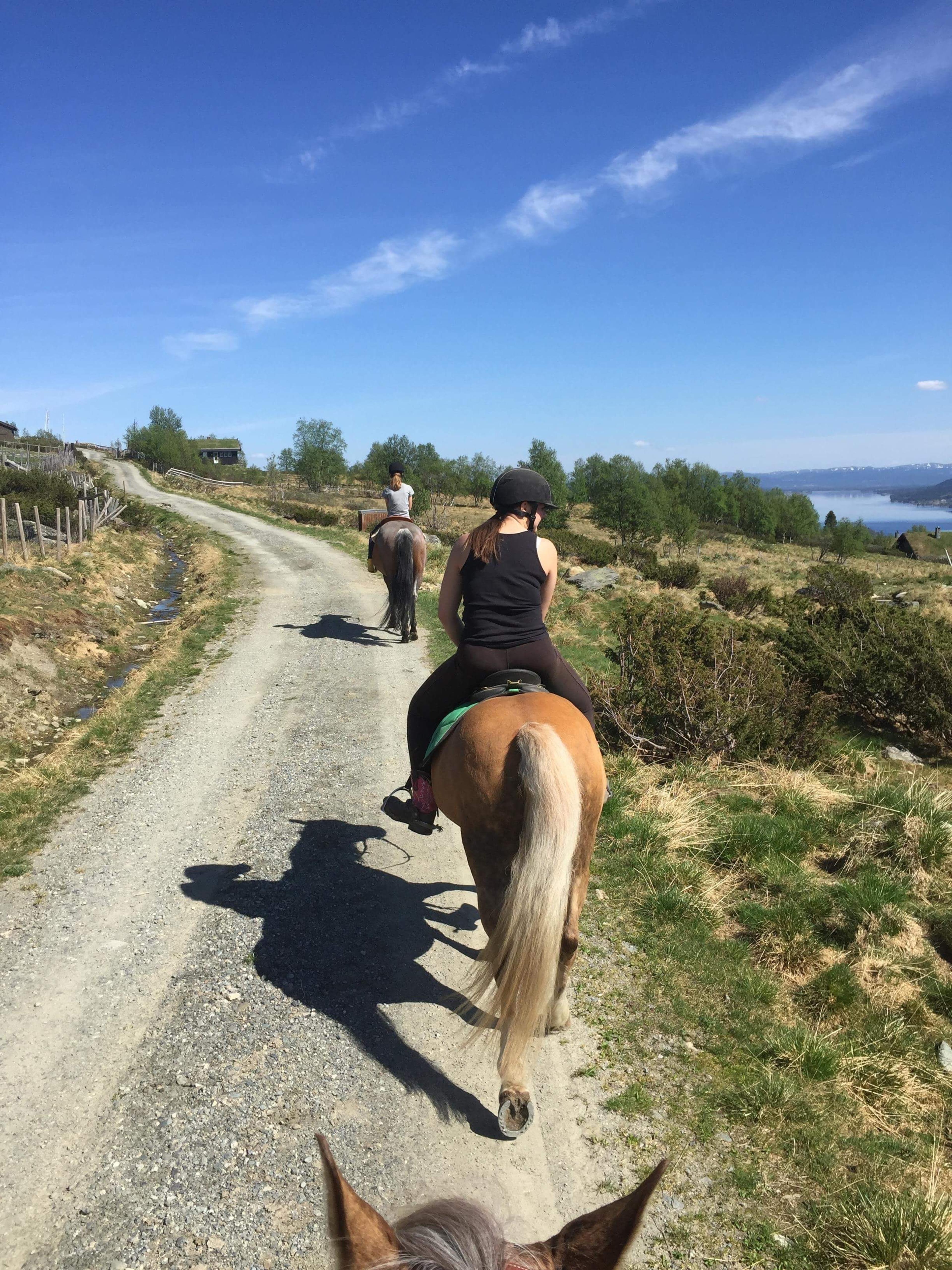 Ridetur, i fjellet tre hester