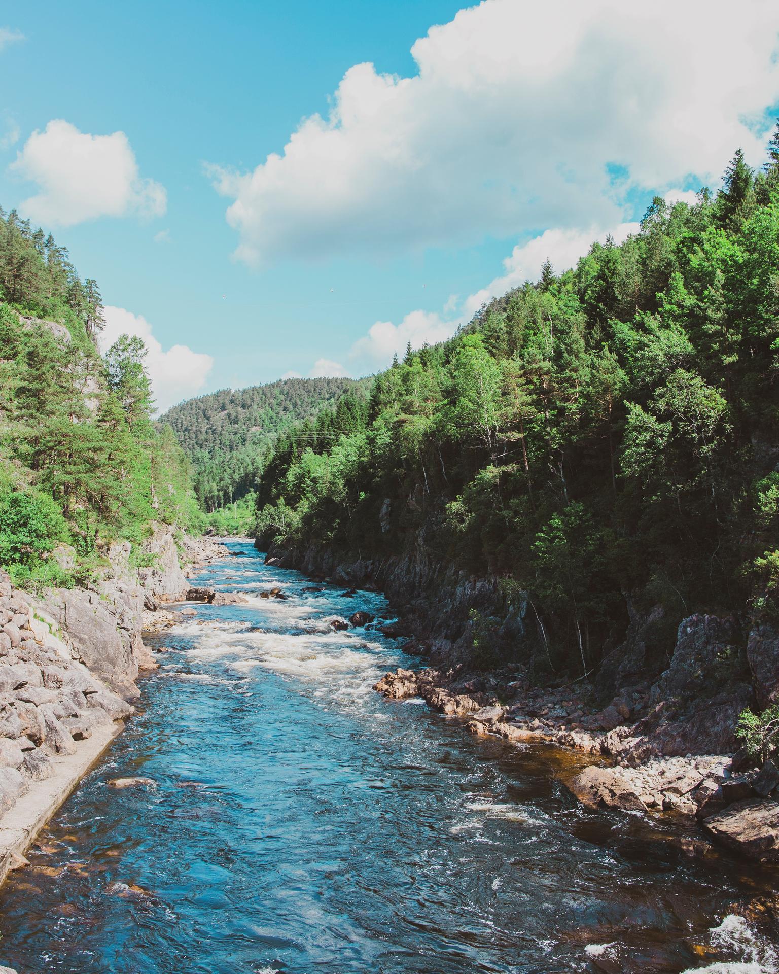 Mandalselva_LIN_01105_Foto_Iselinn_Andersen