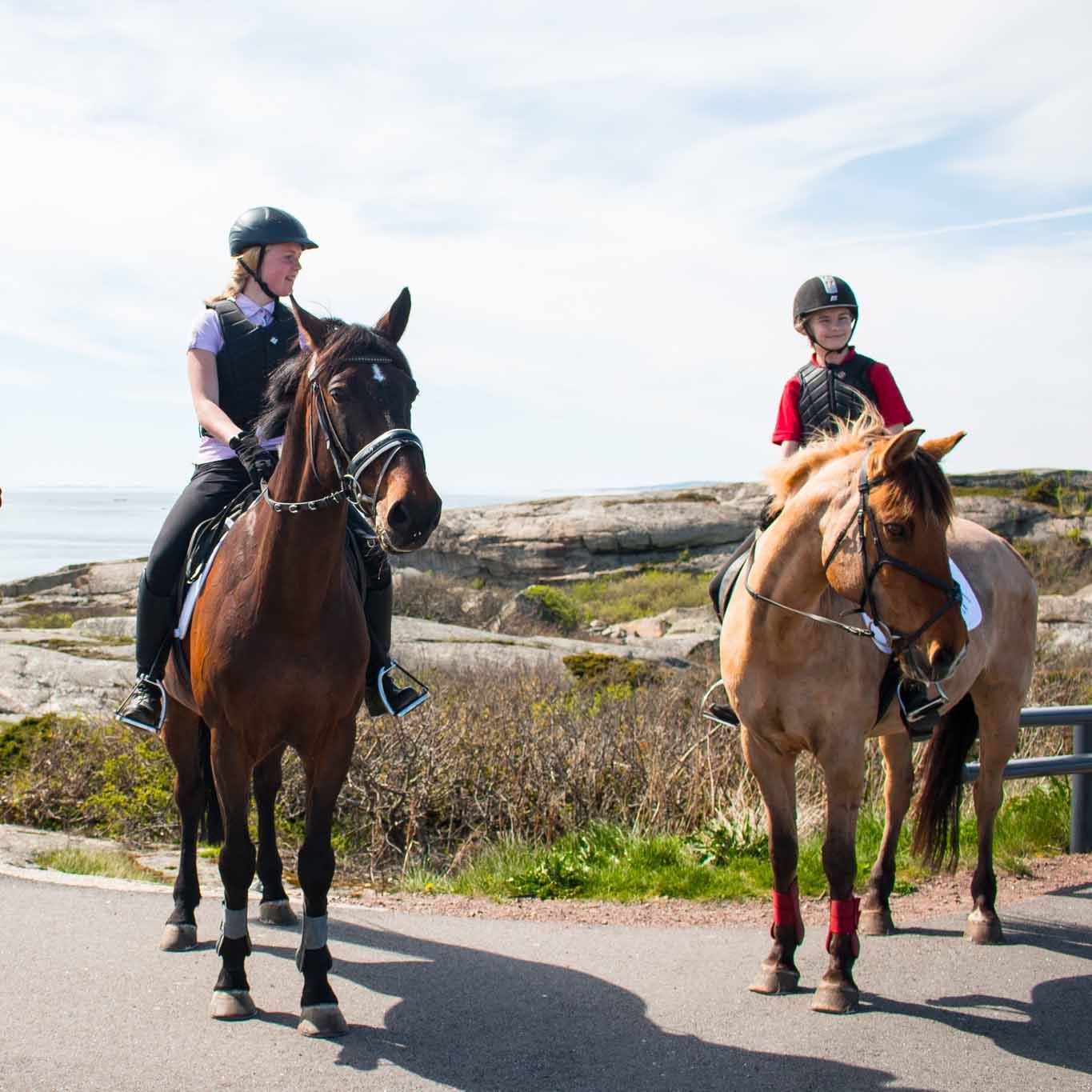 Ridetur ved Verdens Ende, to hester og ryttere