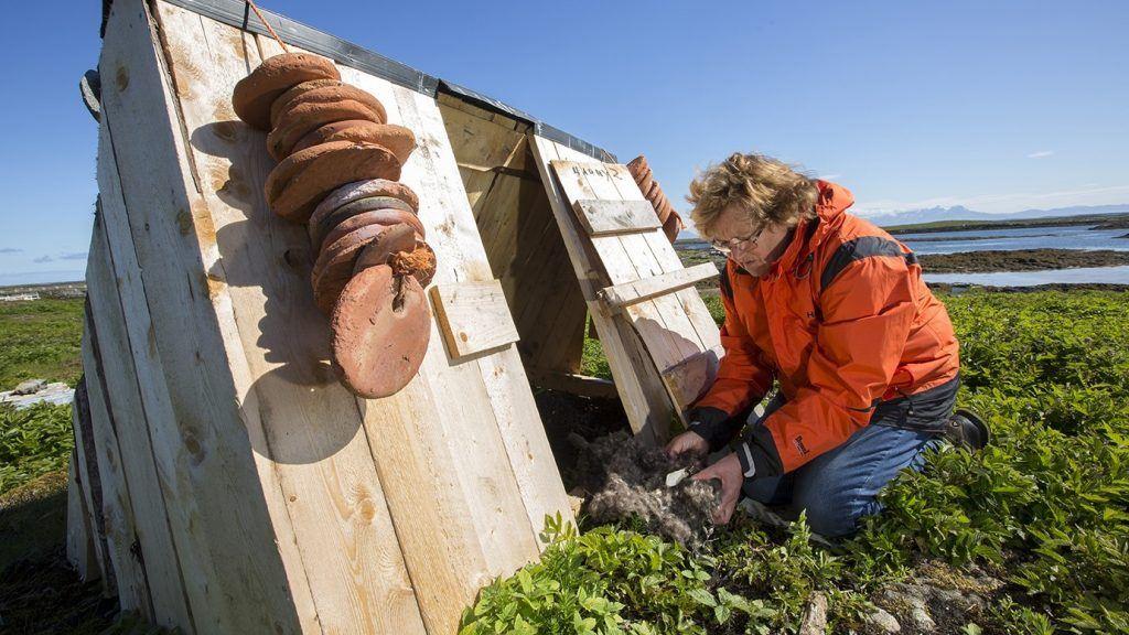 Duna, ærfuglene og folket på Lånan