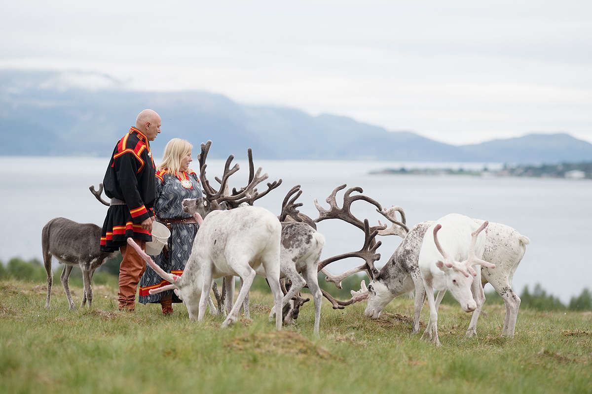 Laila Inga with reindeer