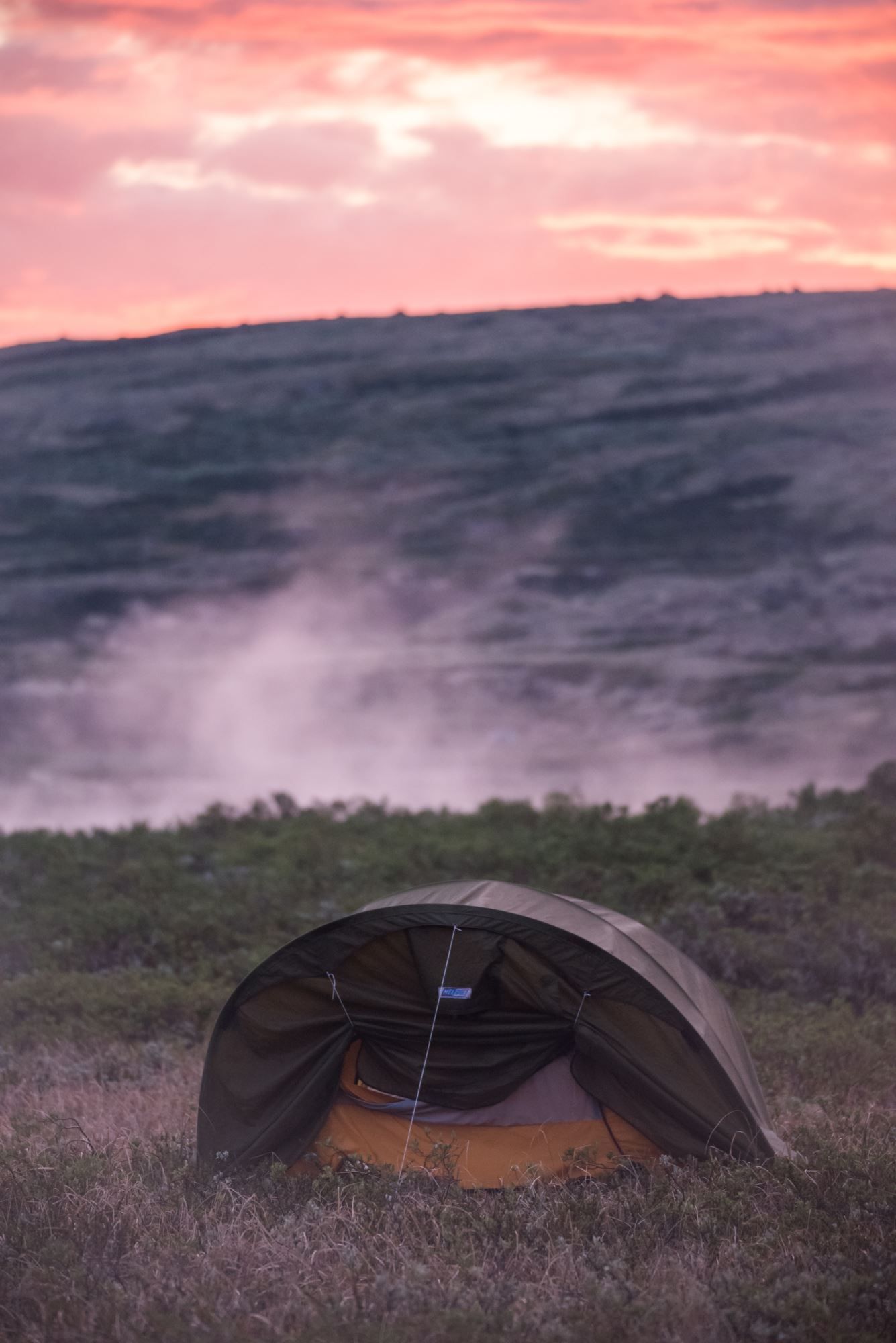 Bird watching with guide