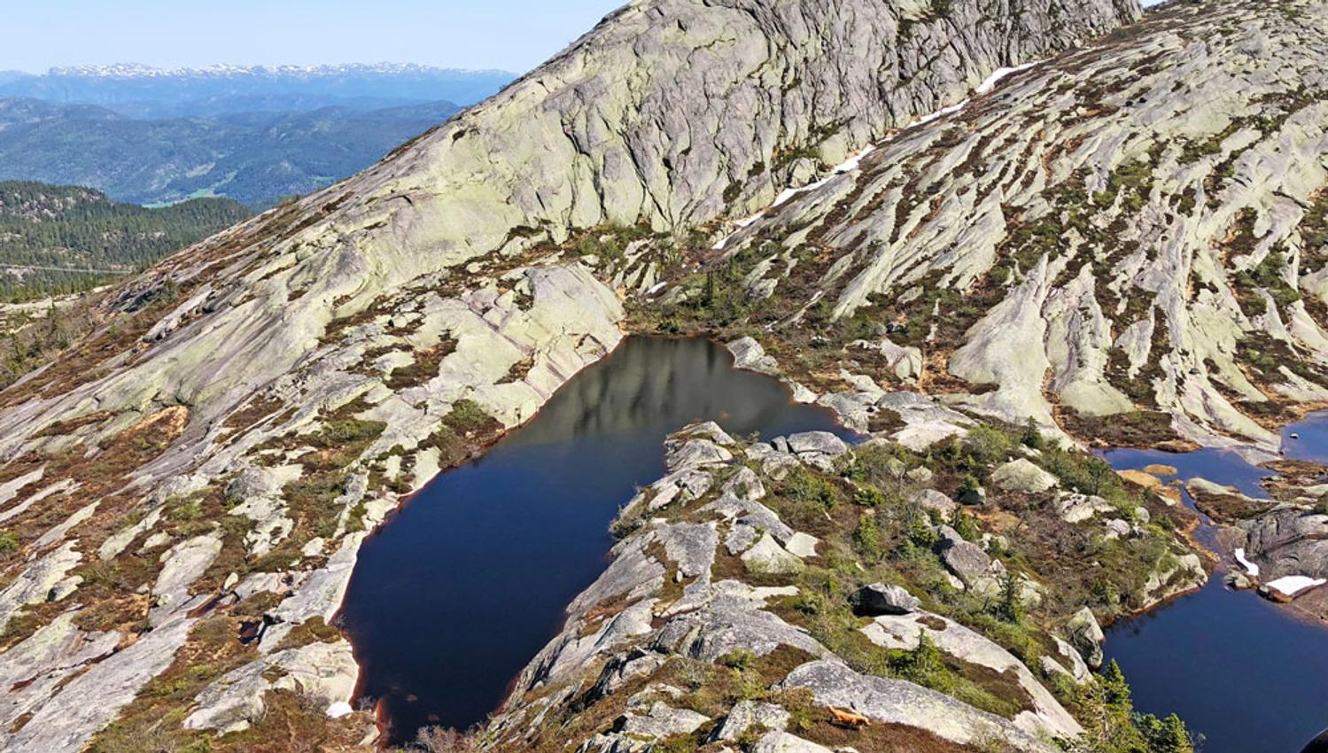 Austre-Roholtsfjell_CAaseheim_web