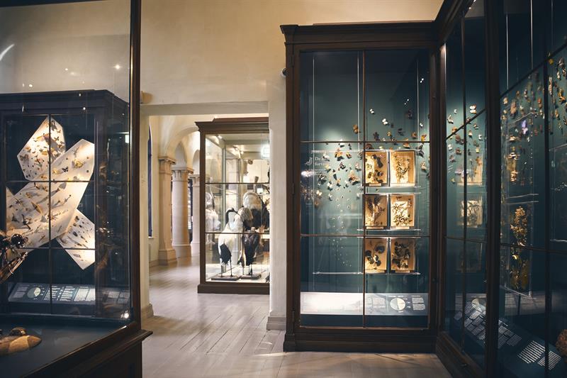 Universitetsmuseet i Bergen