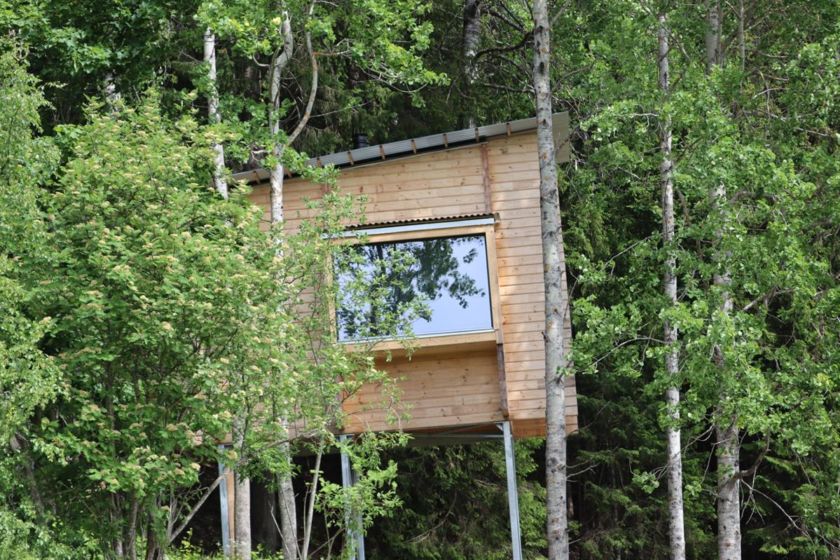 Small wooden cabin surrounded by green forest, with a large window reflecting the surroundings.