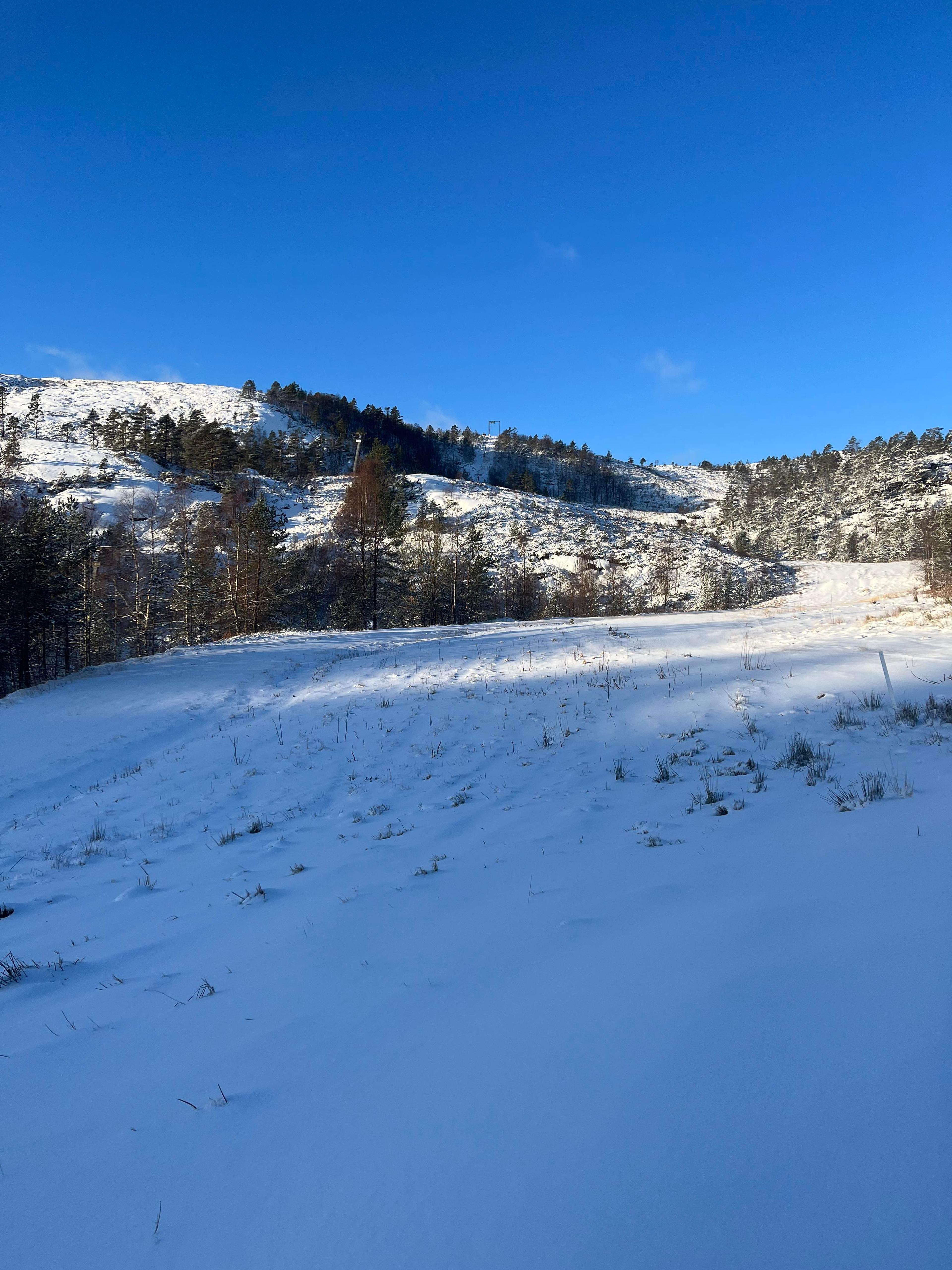 received_1507585276668318