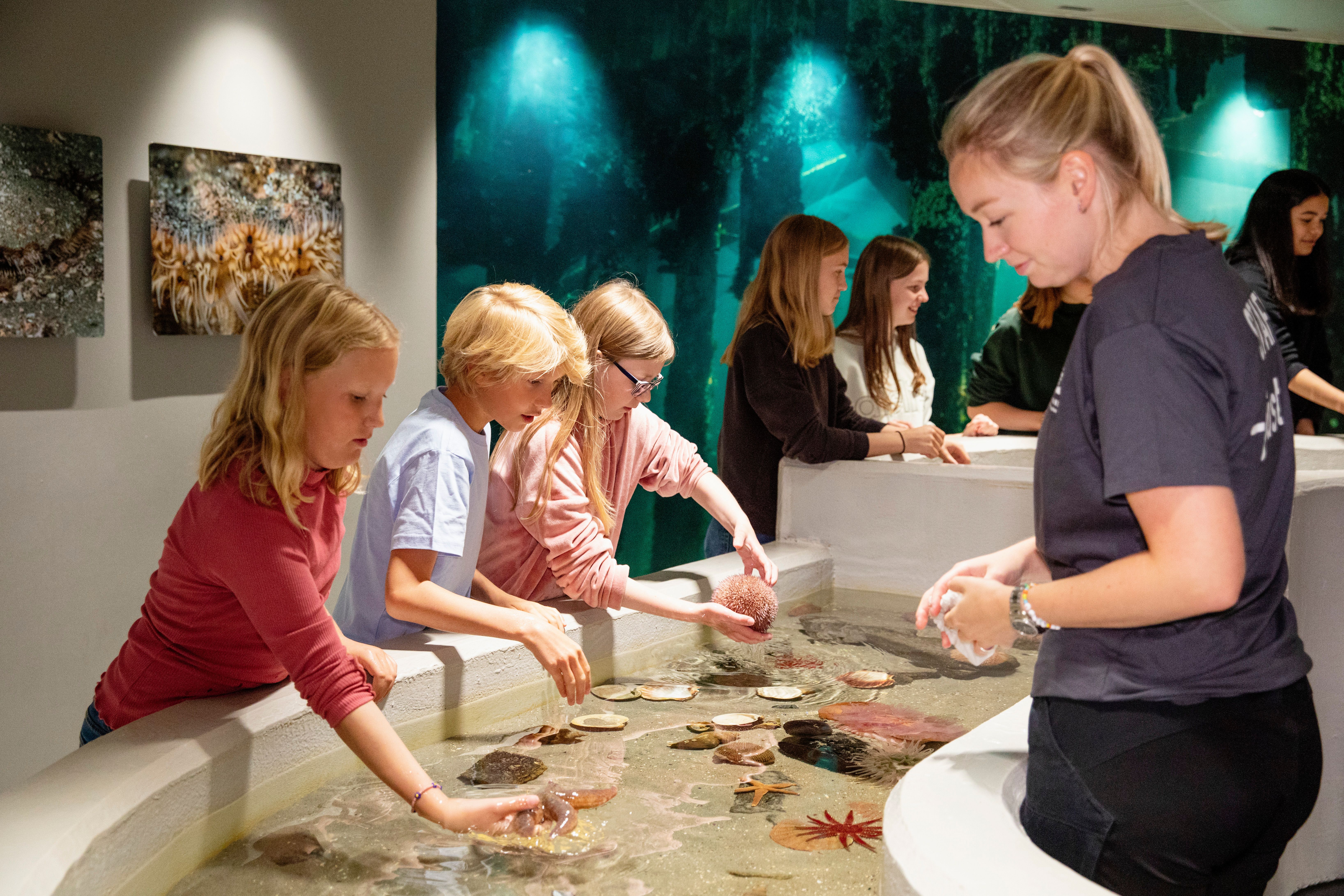 Kjenn på dyra i havet og lær hvordan de lever