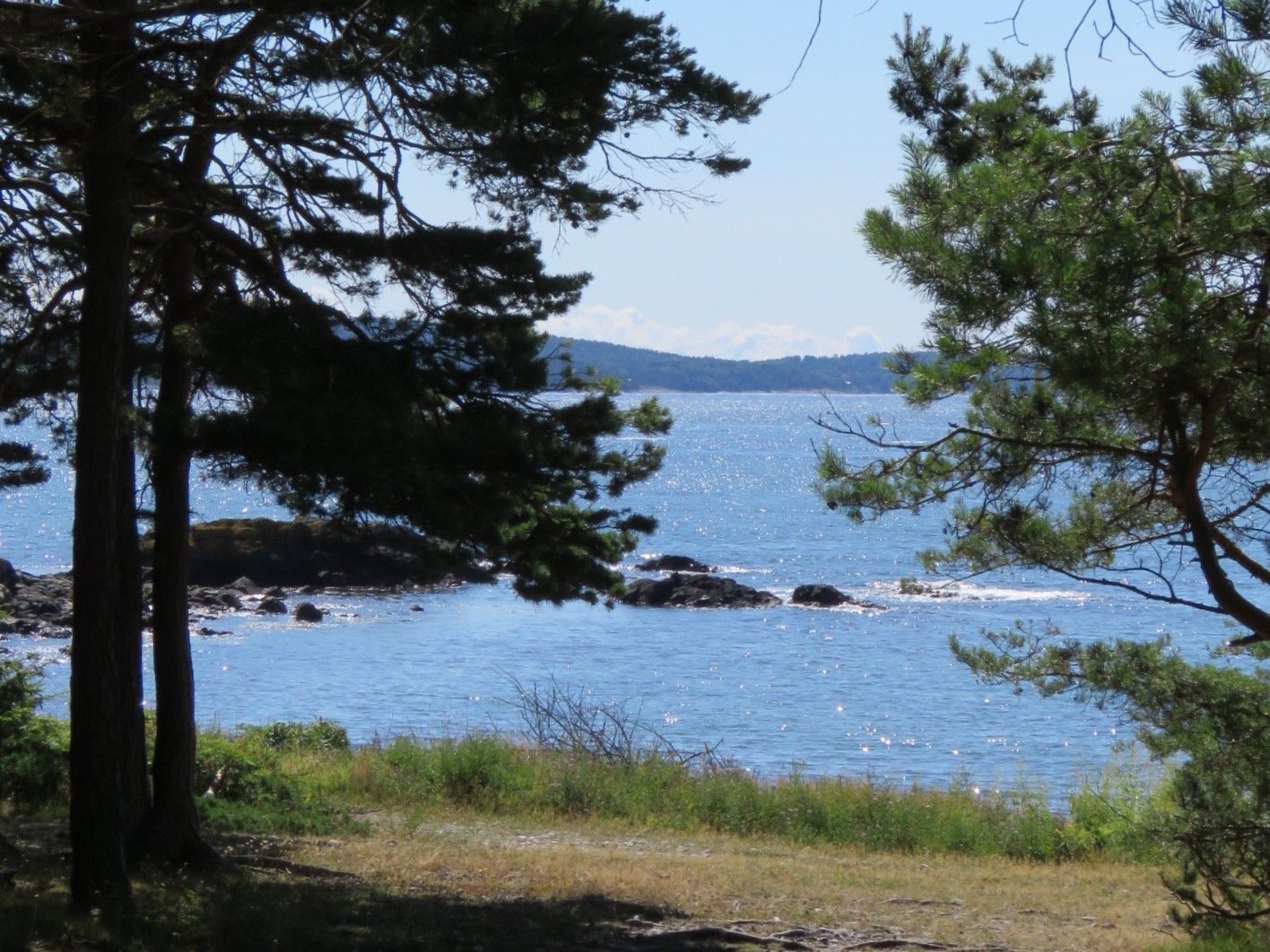 Bredebukt