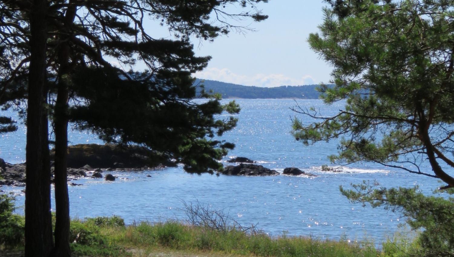 Bredebukt