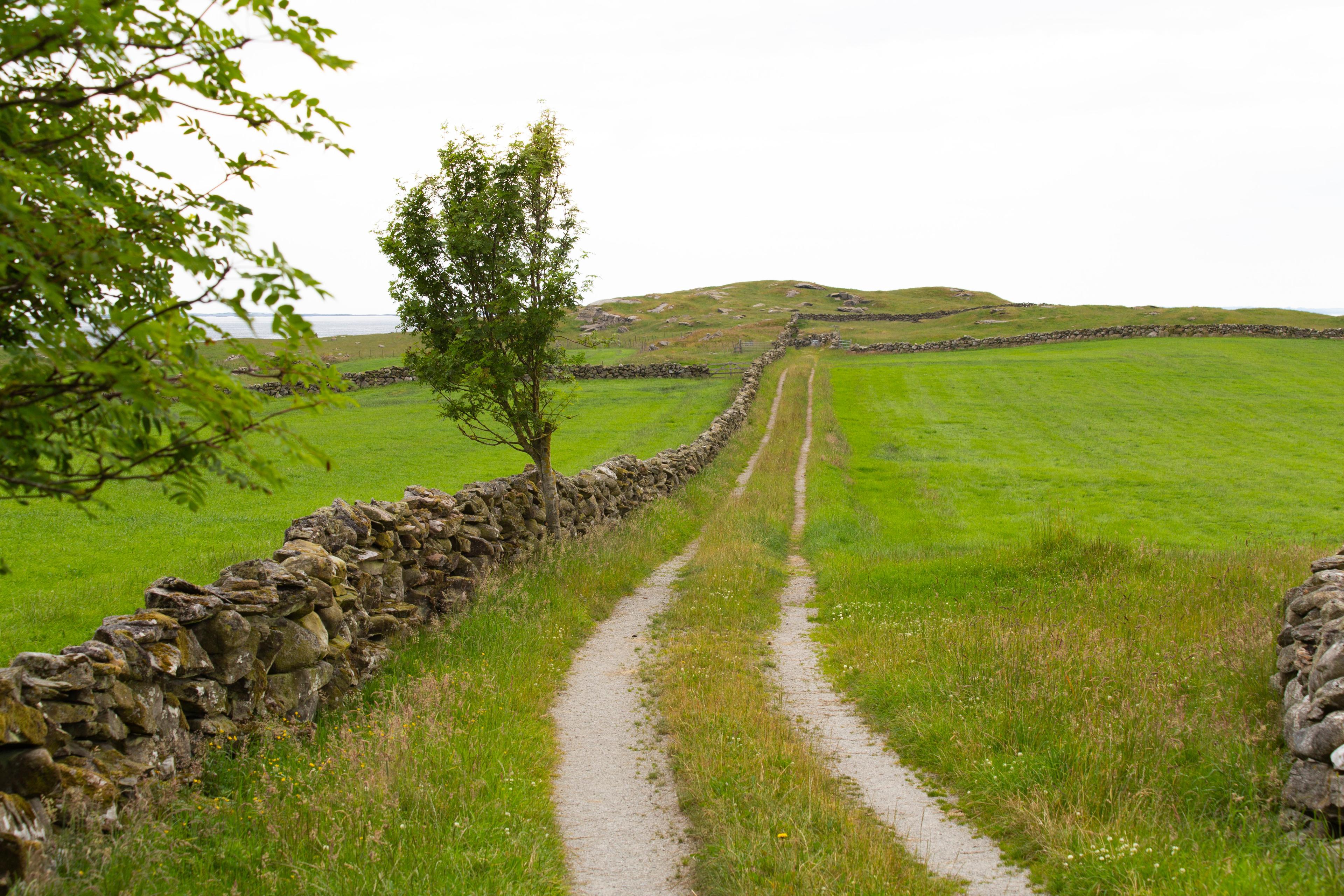 Traktorvei til Soknakrossen