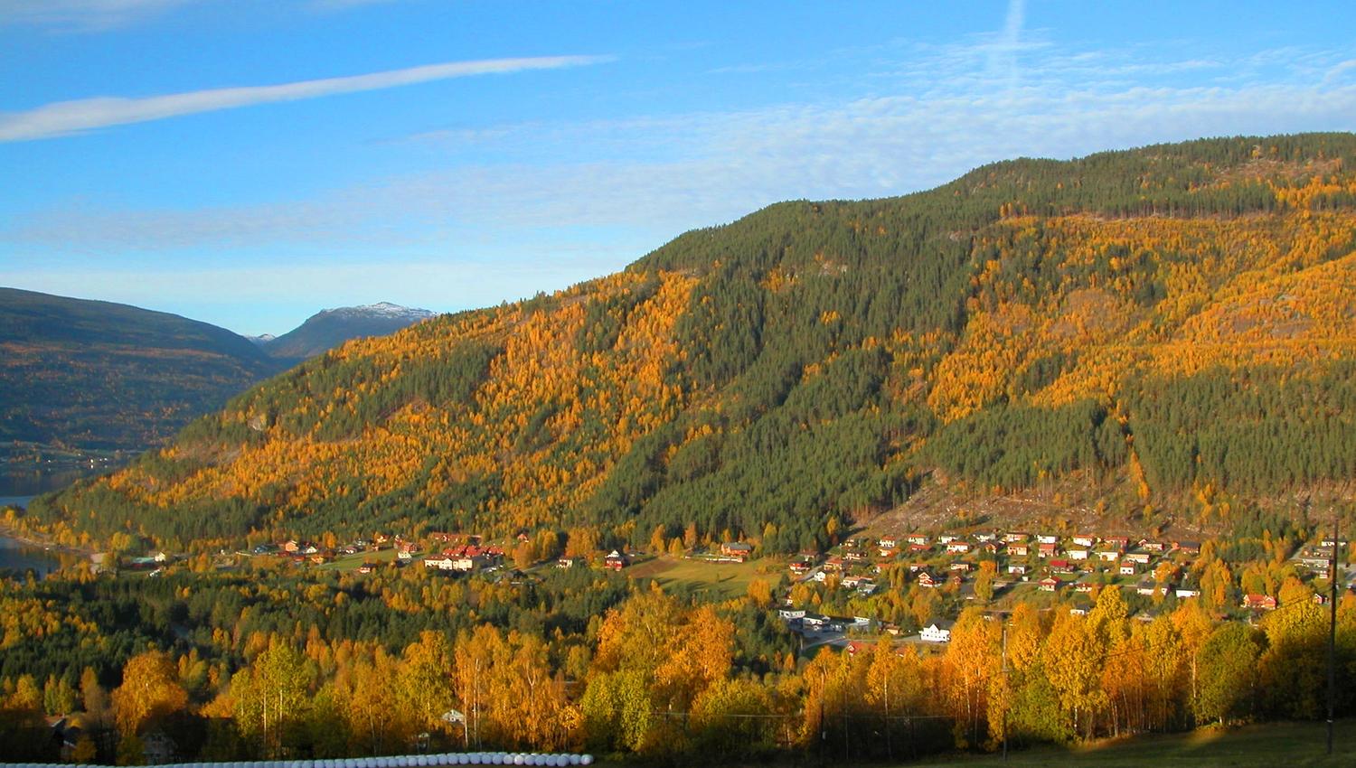 Austbygda Bakeri ligger midt i Tinn Austbygd sentrum. Det er en koselig kafè og bakeri hvor man kan nyte mye godt til kaffen.