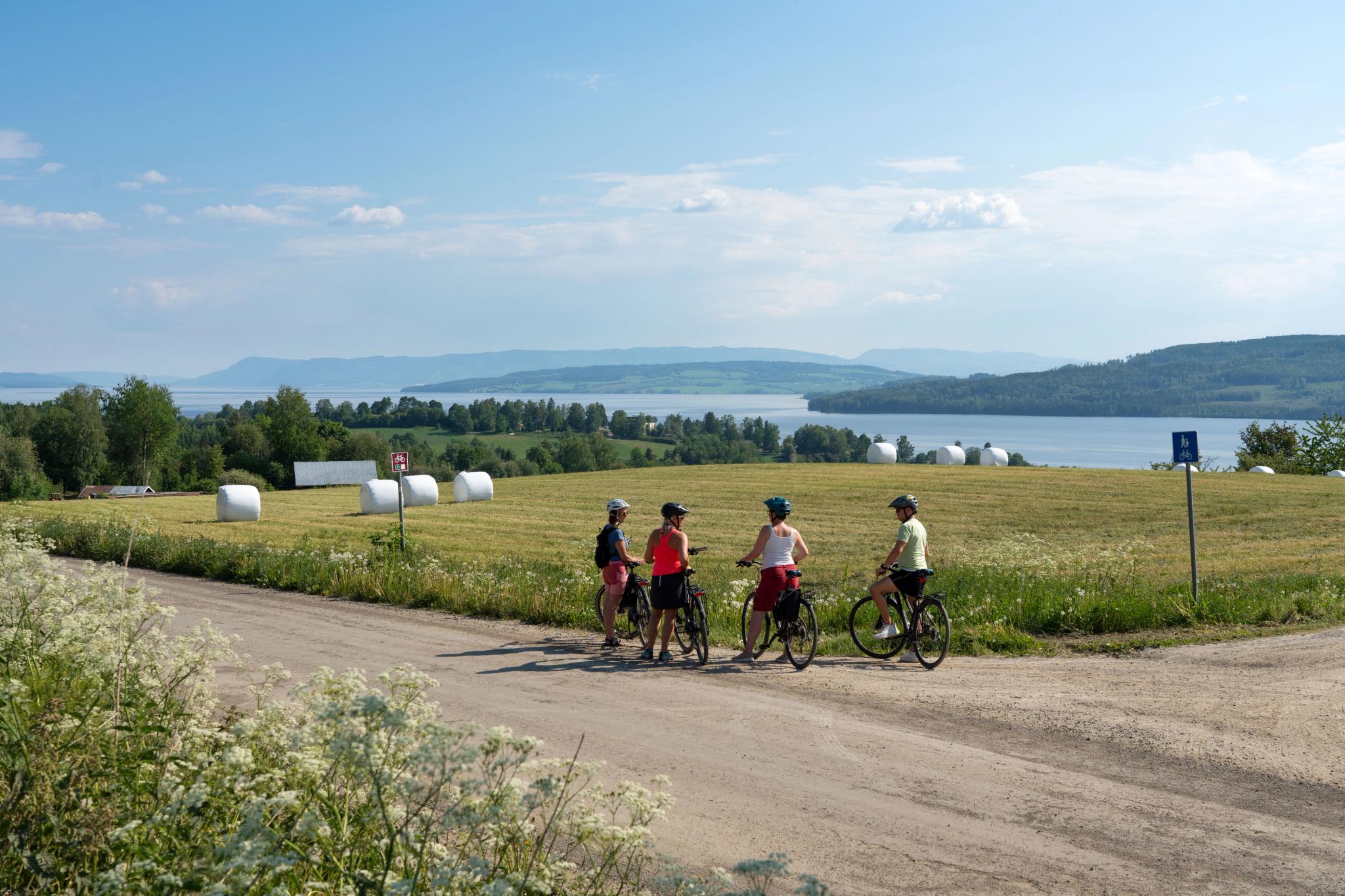 Flerdags sykkeltur Mjøstråkk