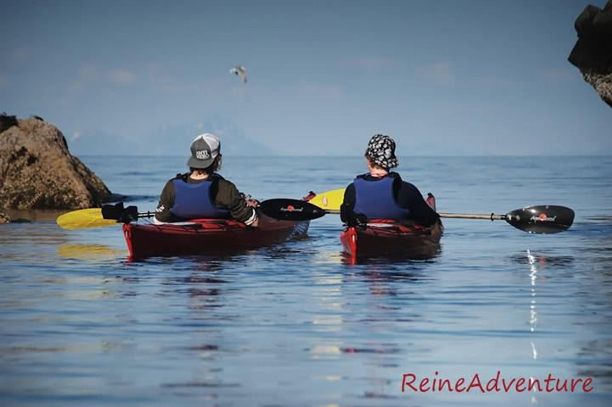 Kajakk tur på Reinefjorden - Reineadventure