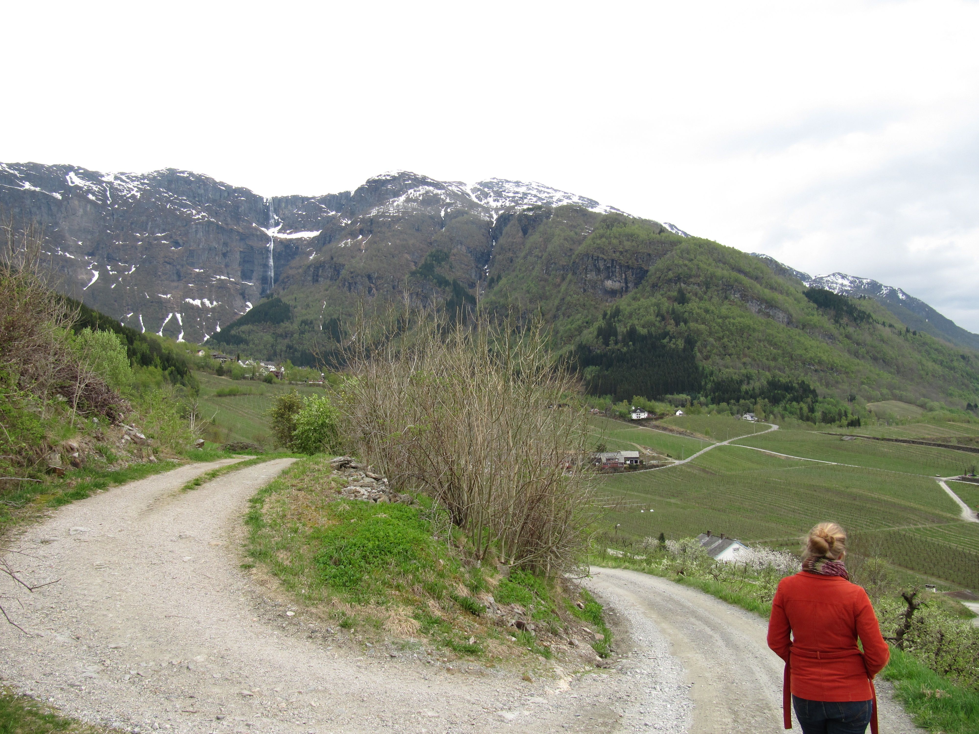 Fruktstien i Hardanger med utsikt mot dalen, gardane og fossane.