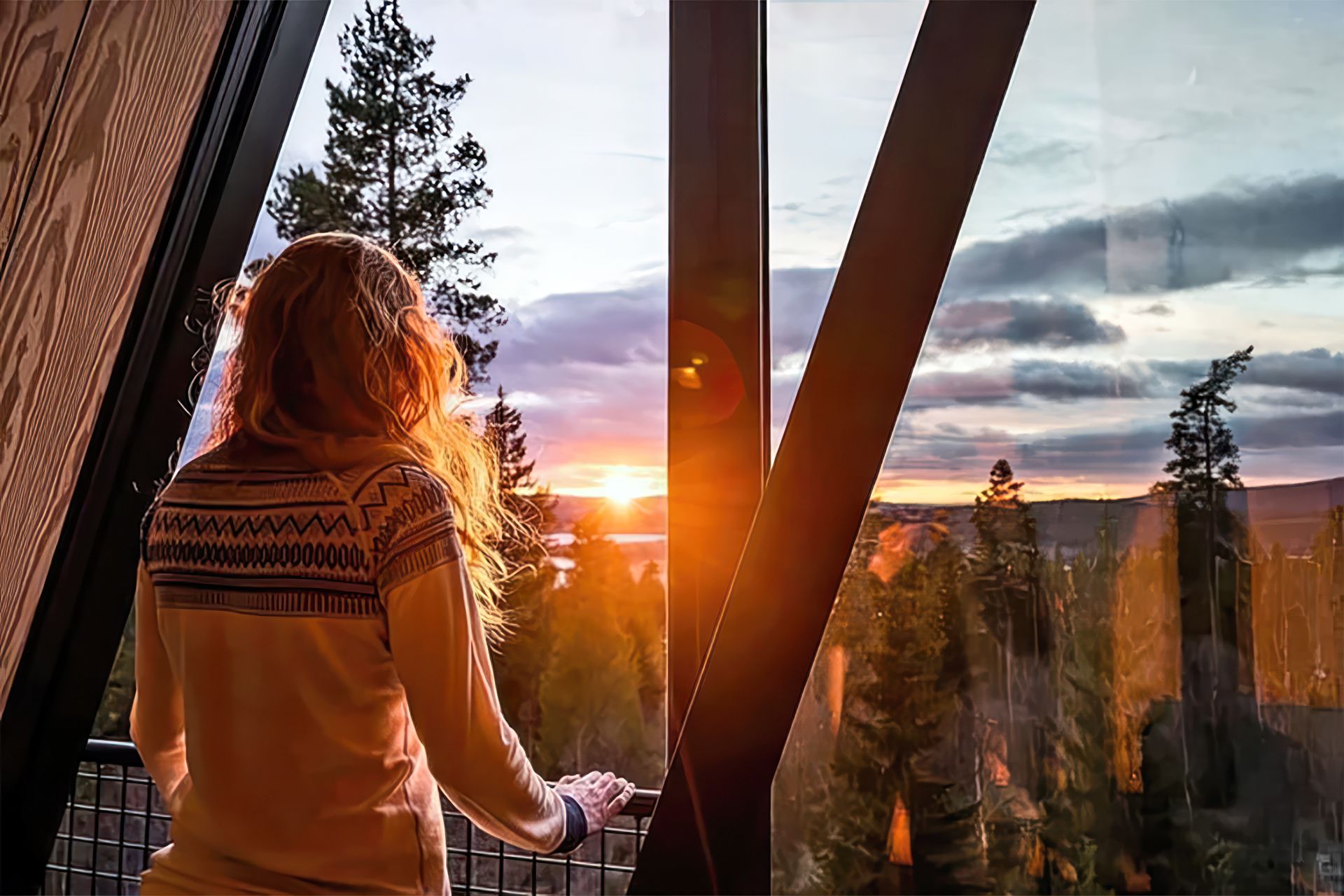 PAN Tretopphytter flott sol