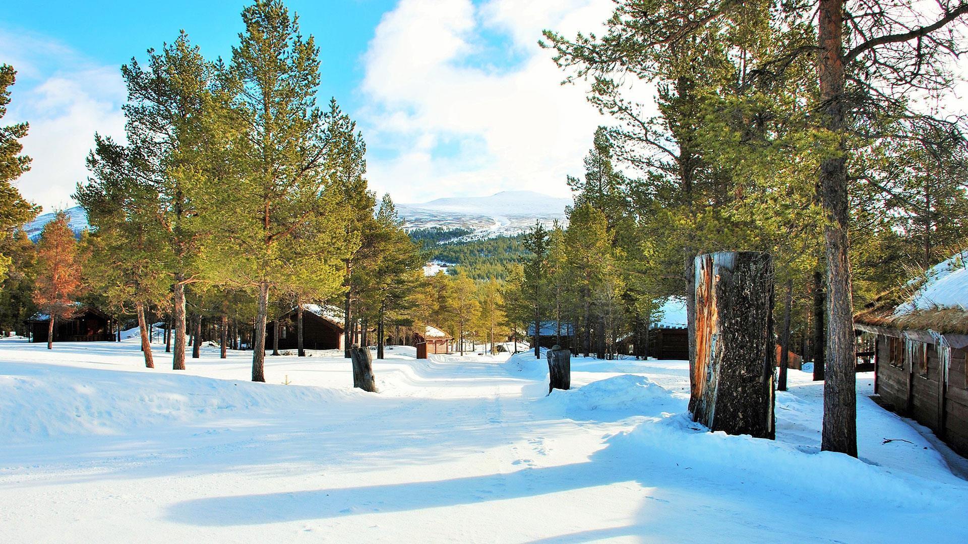 Sjodalen Hyttetun og Camping AS