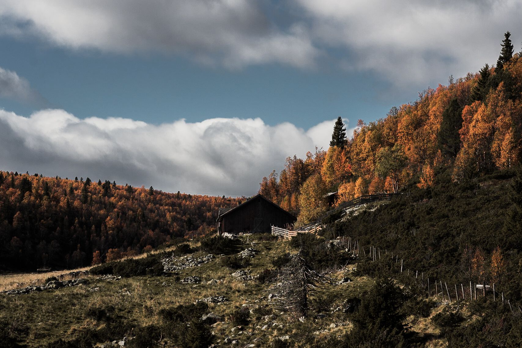 Friskeseter in the fall | Venabu Fjellhotell
