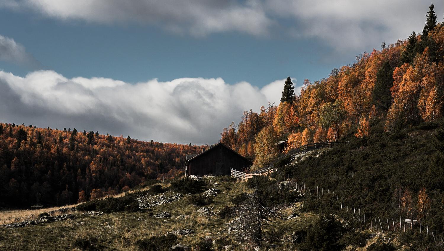 Friskeseter in the fall | Venabu Fjellhotell