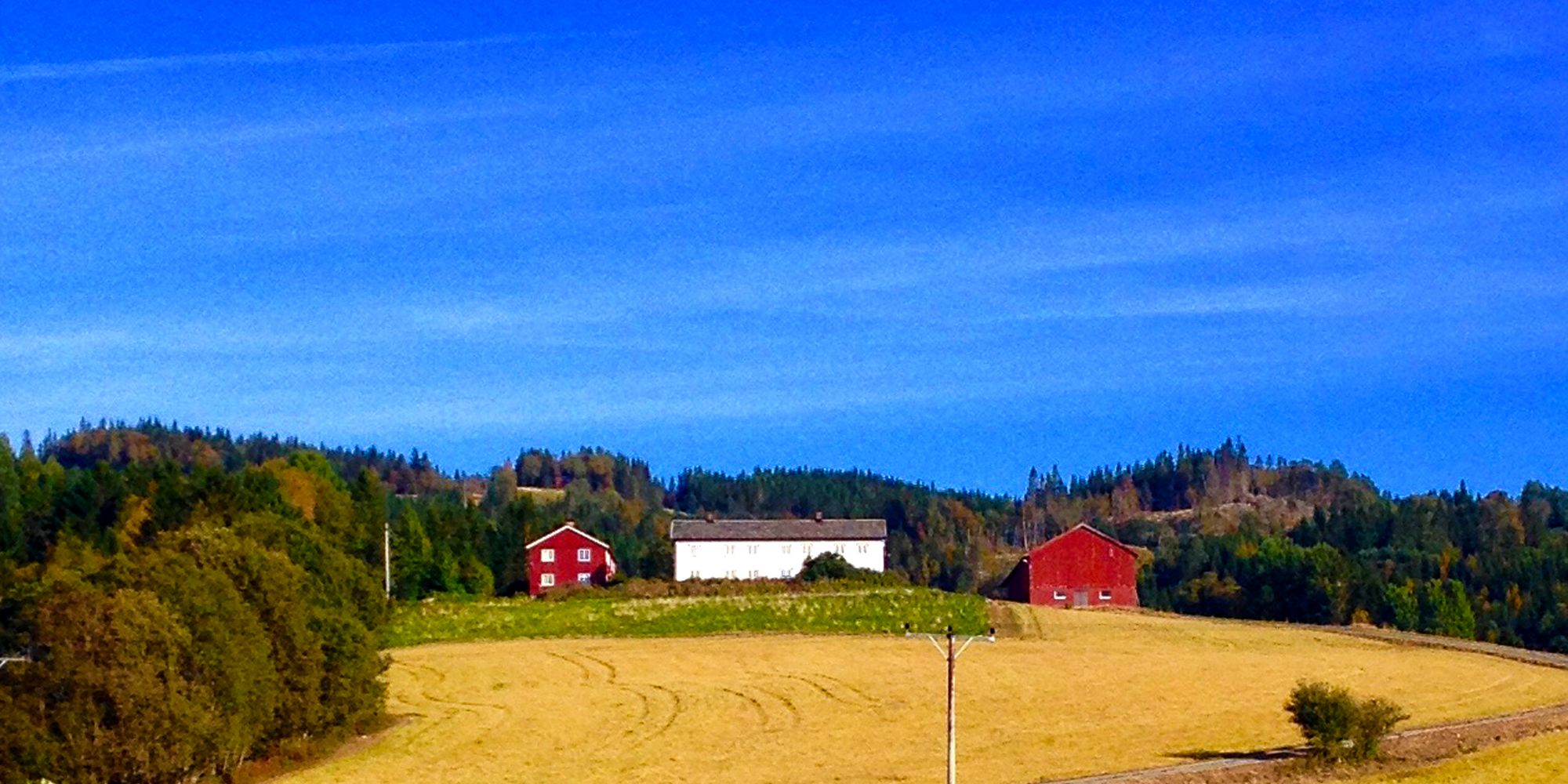 Troset in Levanger Municipality: The farm seen from a distance