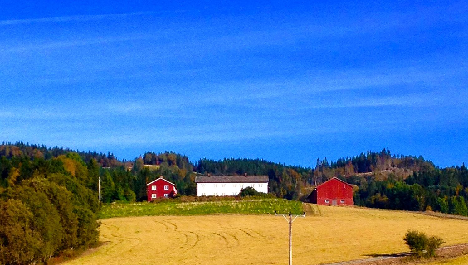 Troset in Levanger Municipality: The farm seen from a distance