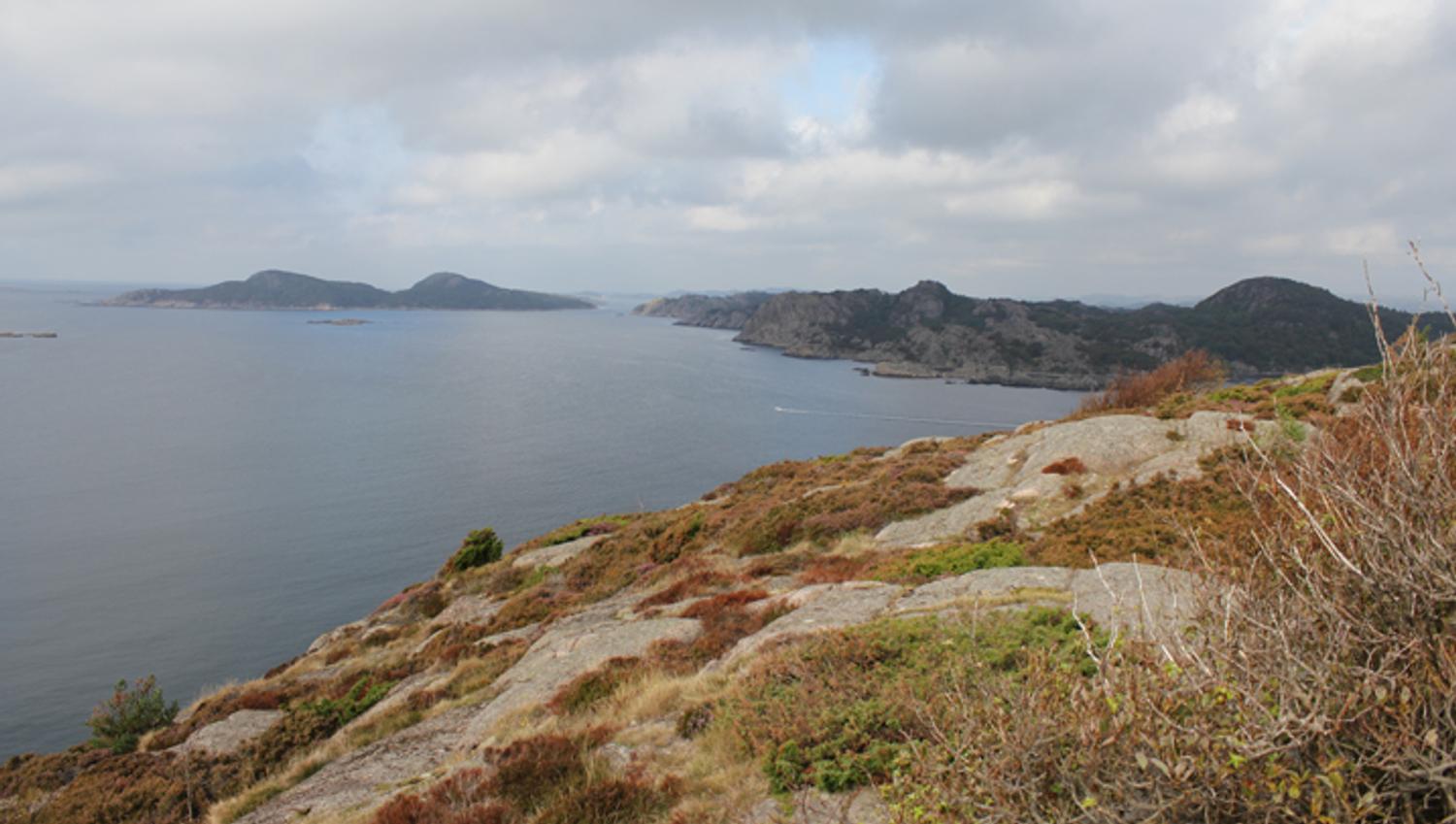 Hausvik